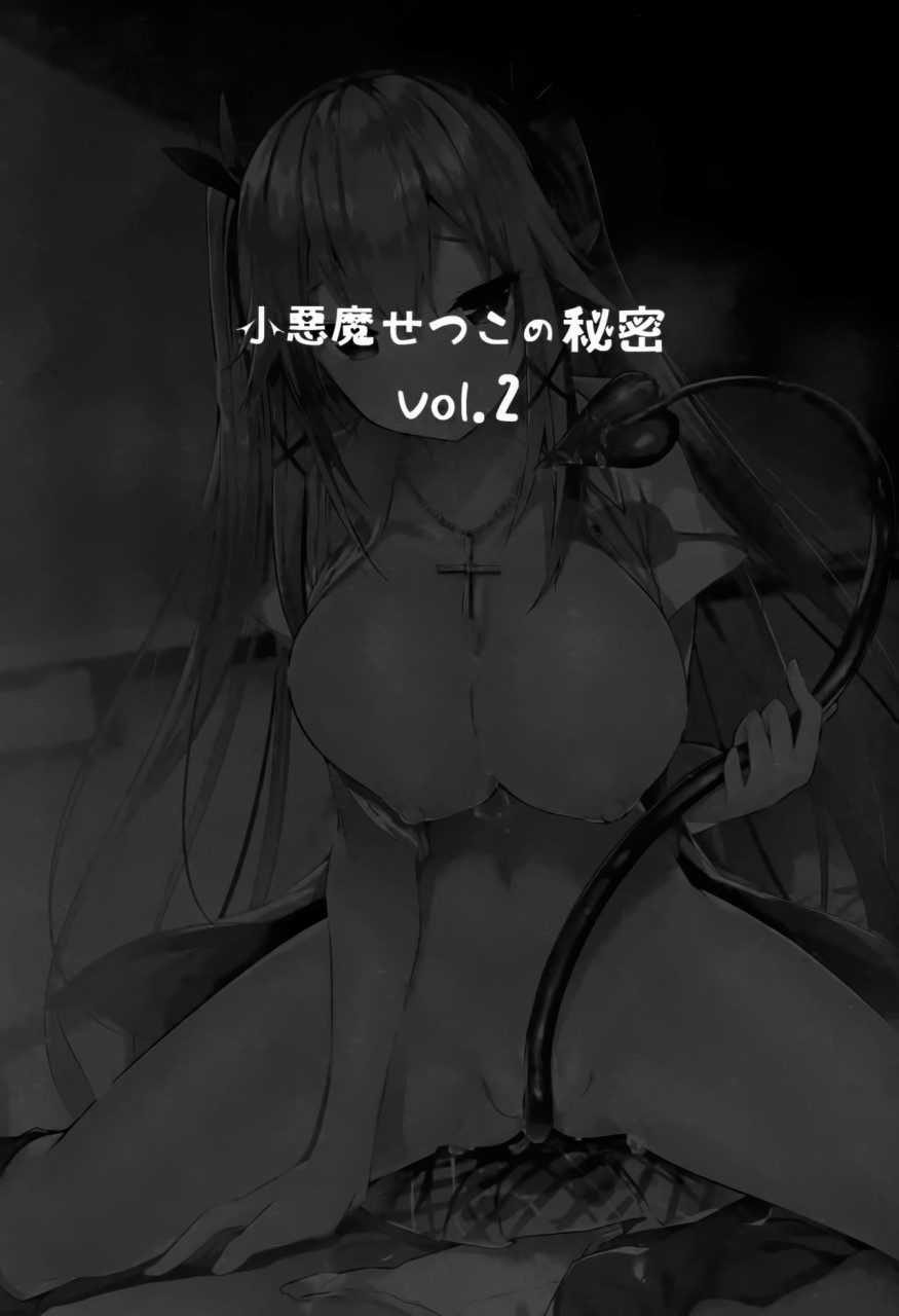 [日本漫画] 小悪魔せつこの秘密 vol.2 单本,巨乳大奶,萝莉,高潮潮吹,女学生,妖精#[29P]-3