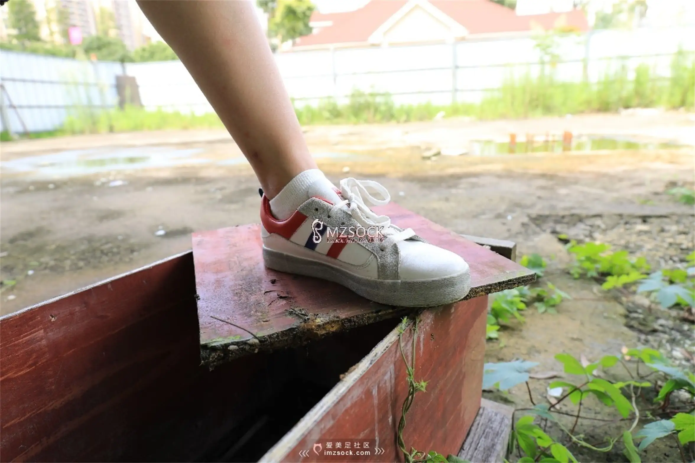 [爱美足] 爱美足 NO.049 悦悦#[74P]-10