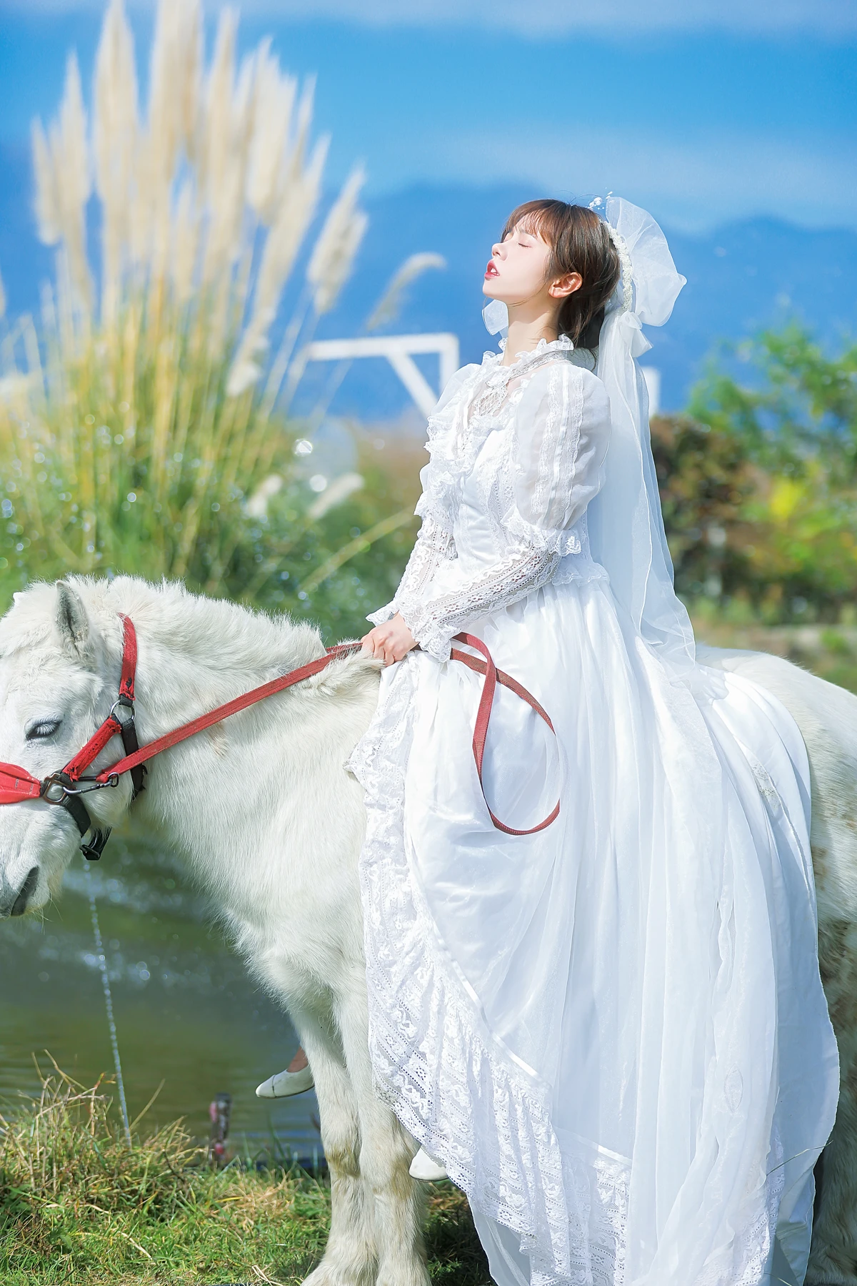 [艺图语] 2023.01.08 Vol.2867 – 桑桑，我带你回家。 林木婷子#[23P]-3
