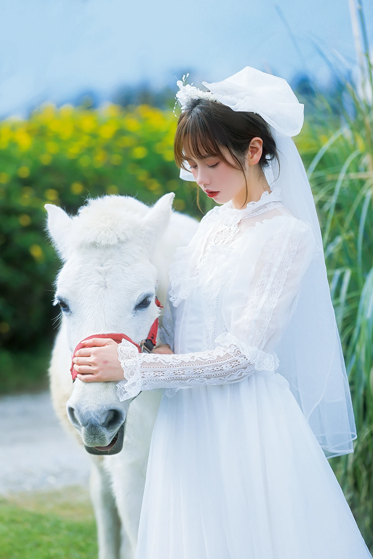 [艺图语] 2023.01.08 Vol.2867 – 桑桑，我带你回家。 林木婷子#[23P]-5