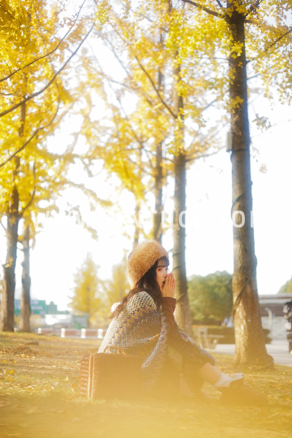 [艺图语] 2023.01.12 Vol.2901 银杏不负秋 一只阿梦崽#[45P]-2