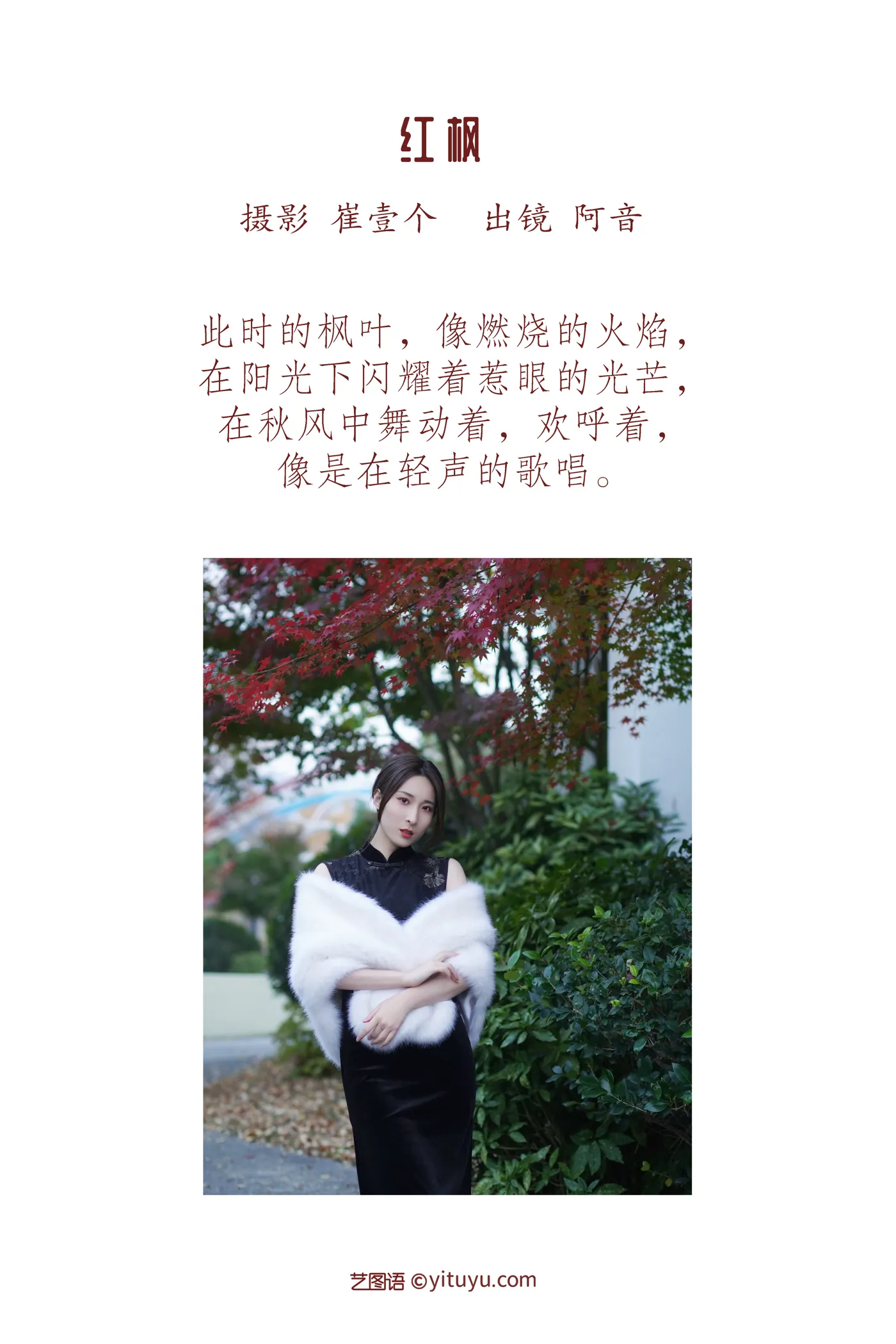 [艺图语] 2022.12.05 Vol.2603 – 红枫 阿音#[23P]-2