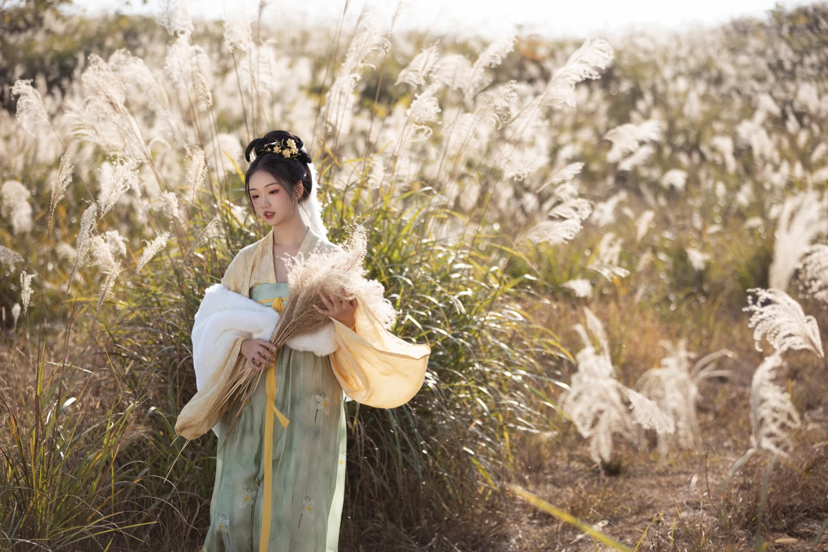 [艺图语] 2023.02.09 Vol.3004 芦苇晚风鸣 晚江亭#[26P]-6