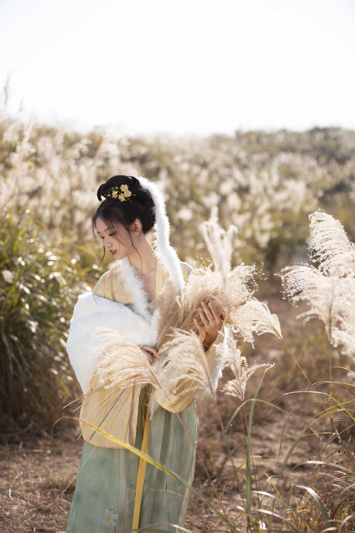 [艺图语] 2023.02.09 Vol.3004 芦苇晚风鸣 晚江亭#[26P]-8