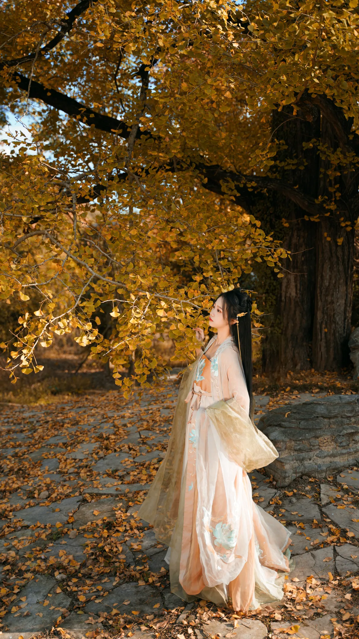 [艺图语] 2022.12.12 Vol.2664 – 银杏树下 旺旺小小舒#[39P]-3