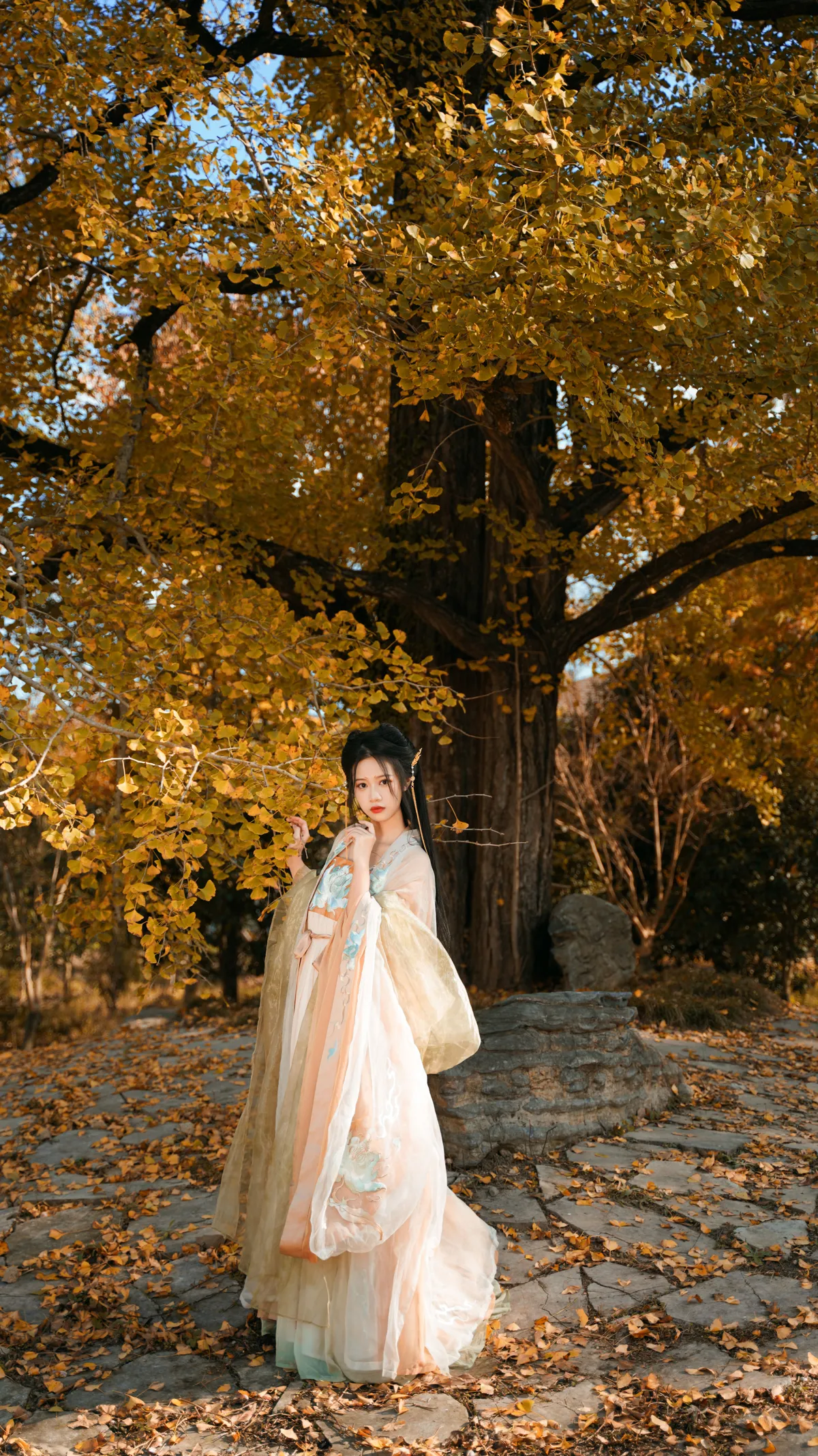 [艺图语] 2022.12.12 Vol.2664 – 银杏树下 旺旺小小舒#[39P]-4
