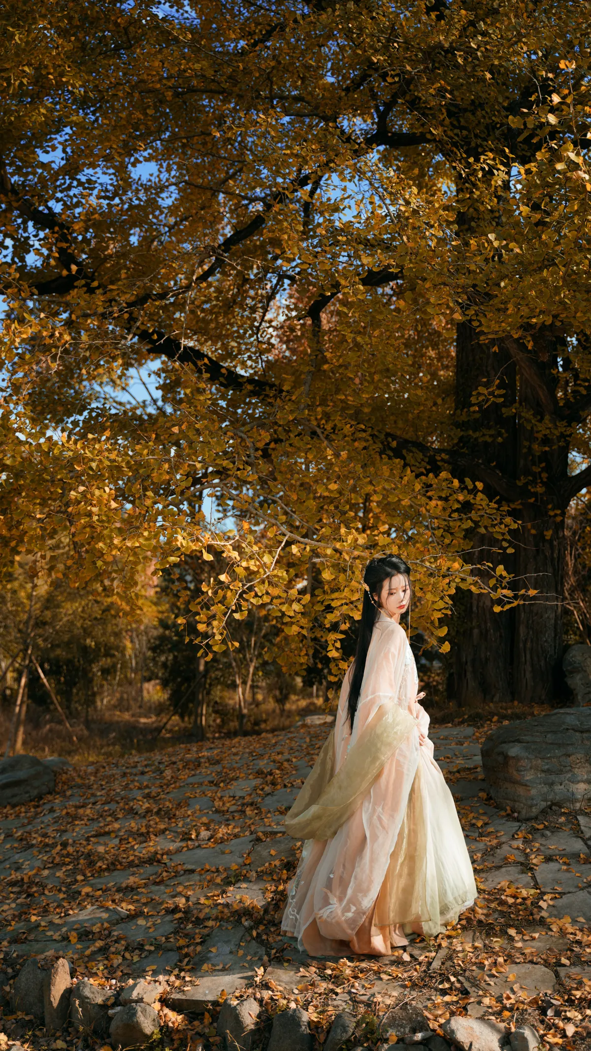 [艺图语] 2022.12.12 Vol.2664 – 银杏树下 旺旺小小舒#[39P]-5