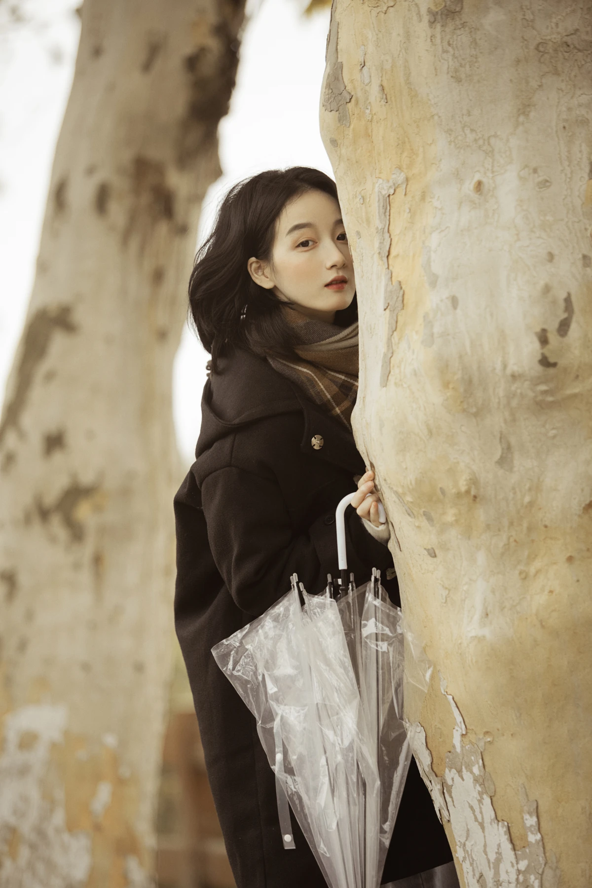 [艺图语] 2023.01.16 Vol.2925 漫步梧桐林 肖绿叶#[26P]-5