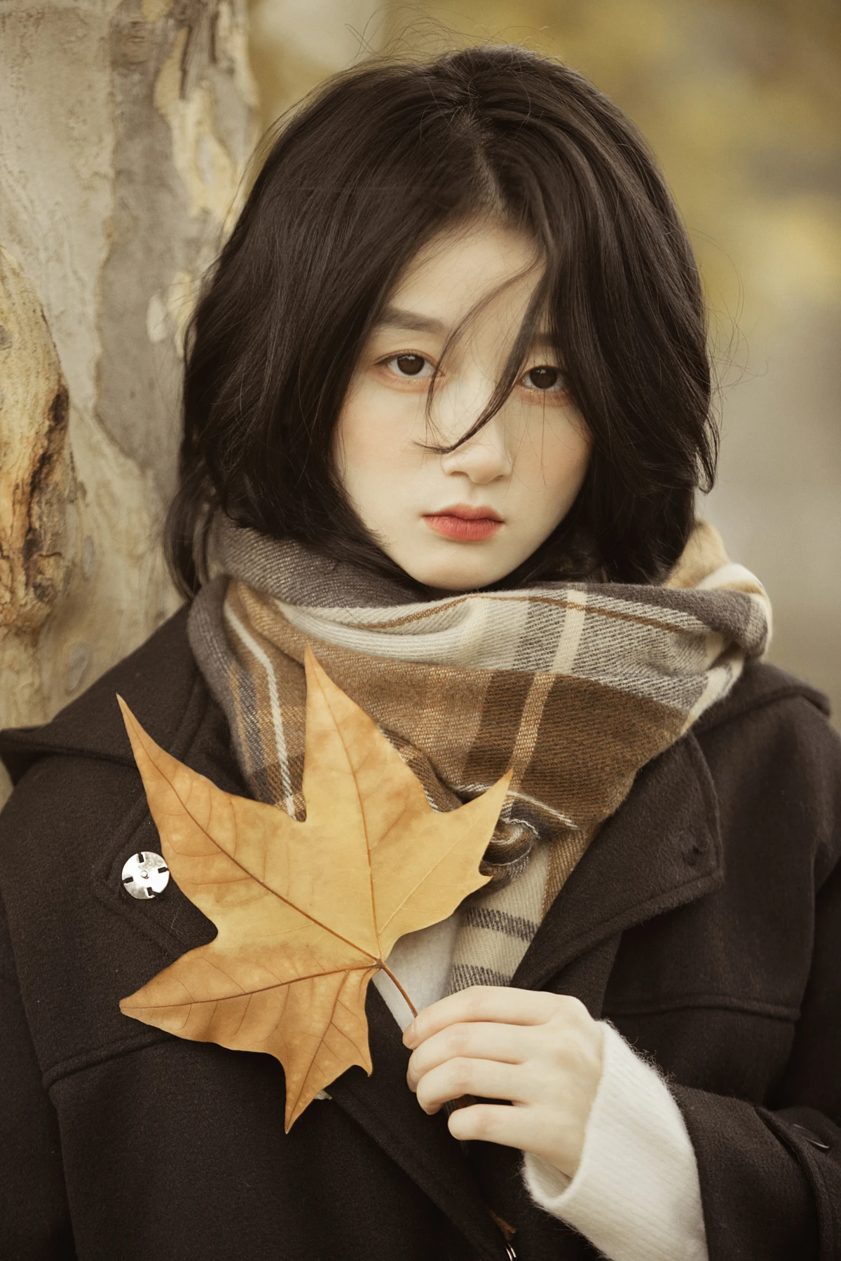 [艺图语] 2023.01.16 Vol.2925 漫步梧桐林 肖绿叶#[26P]-7