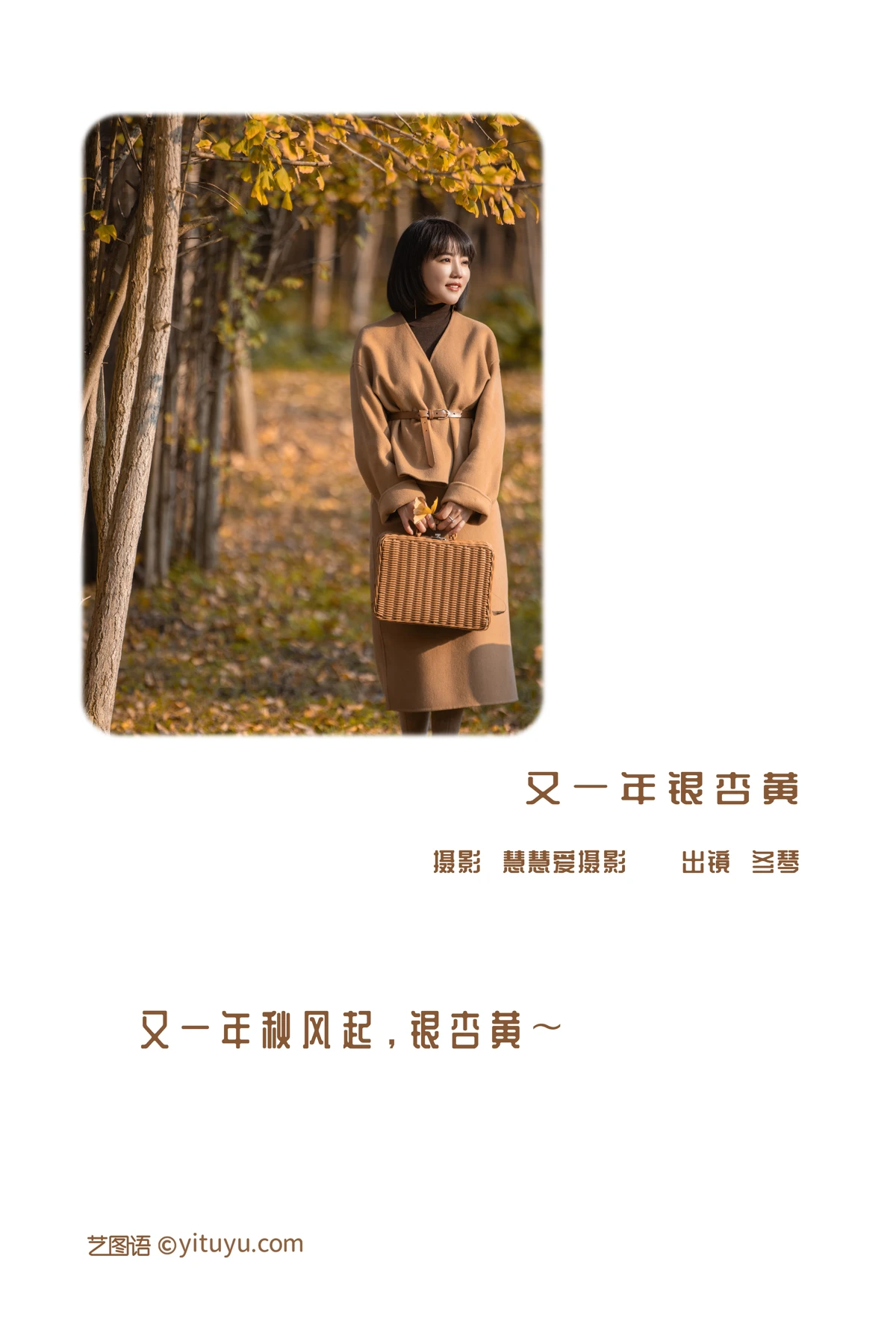 [艺图语] 2022.12.27 Vol.2773 – 又一年银杏黄 冬琴#[35P]-2