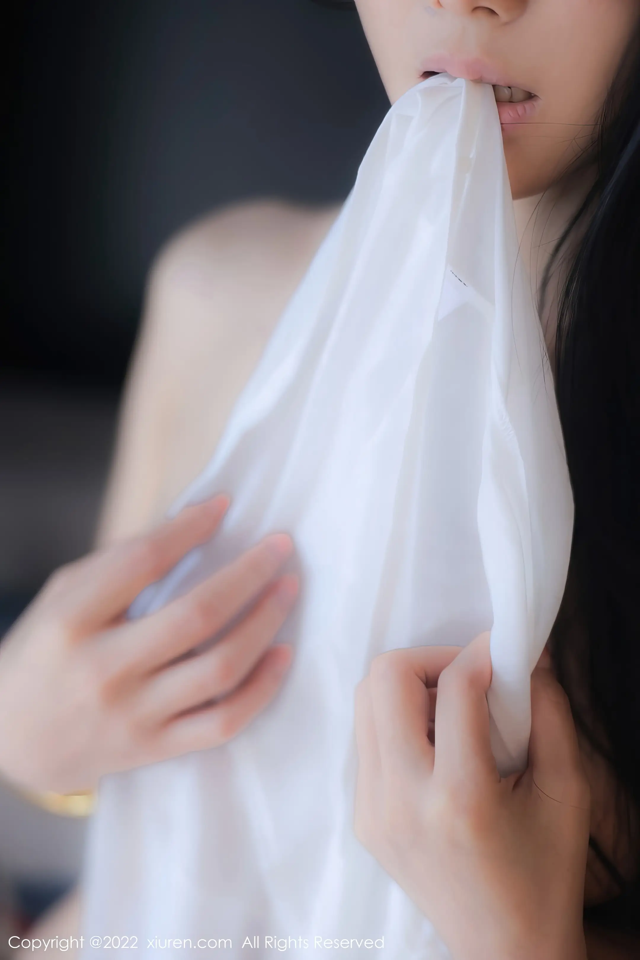 [秀人网] 2022.11.03 NO.5799 苏苏阿#[93P]-3