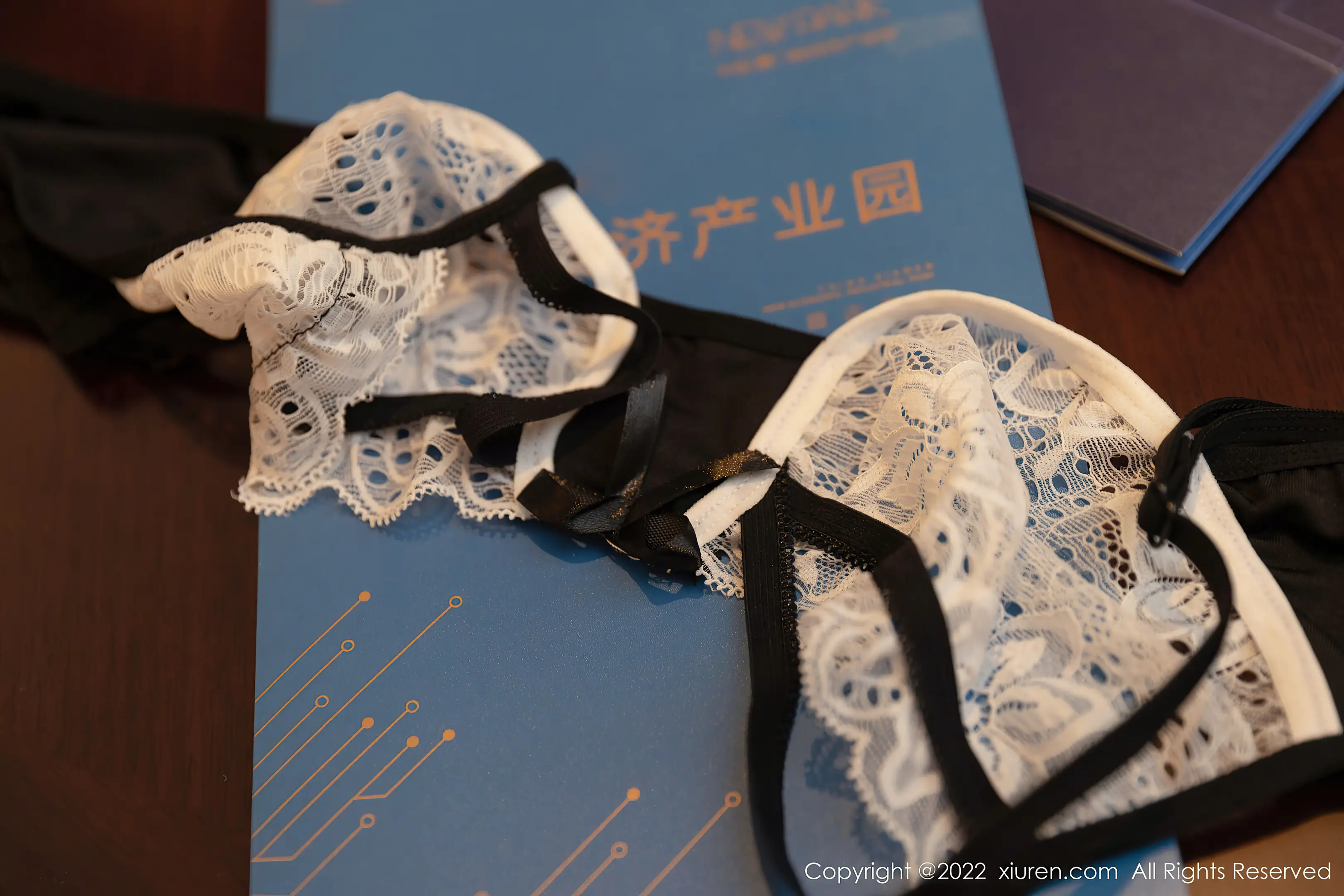 [秀人网] 2022.03.25 – NO.4775 王雨纯#[50P]-5