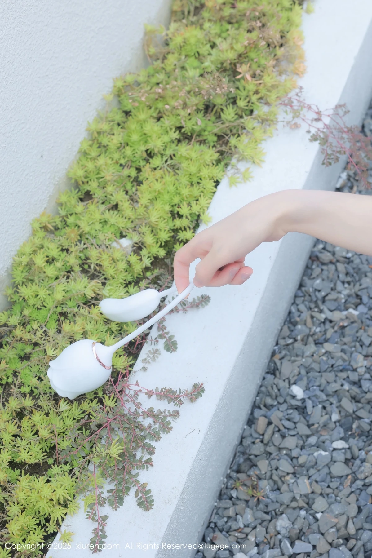 [秀人网] 2025.02.07 No.9851 桃妖夭#[114P]-1