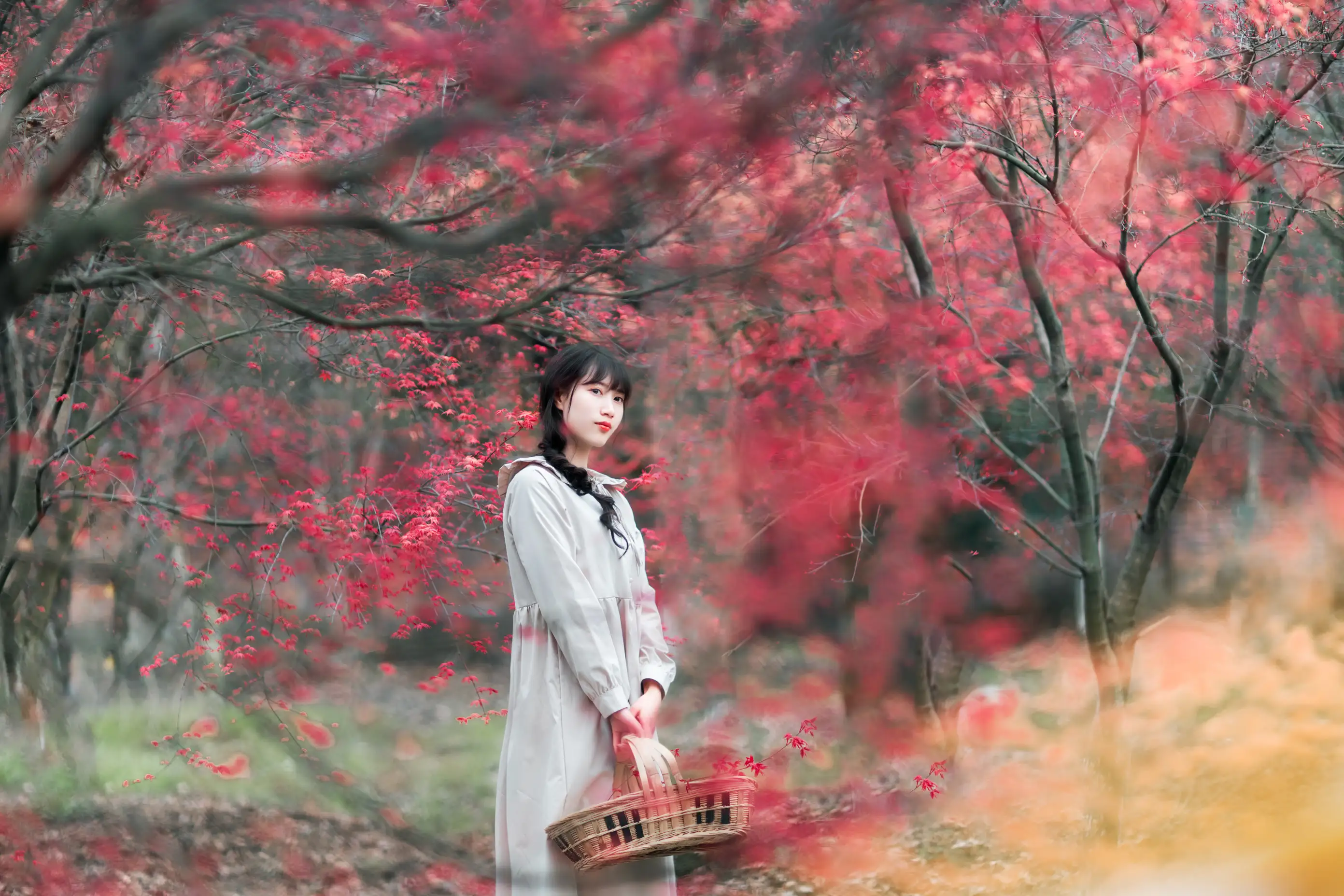 [艺图语] 2021.12.23 Vol.521 – 枫林春晓 初茶#[39P]-1