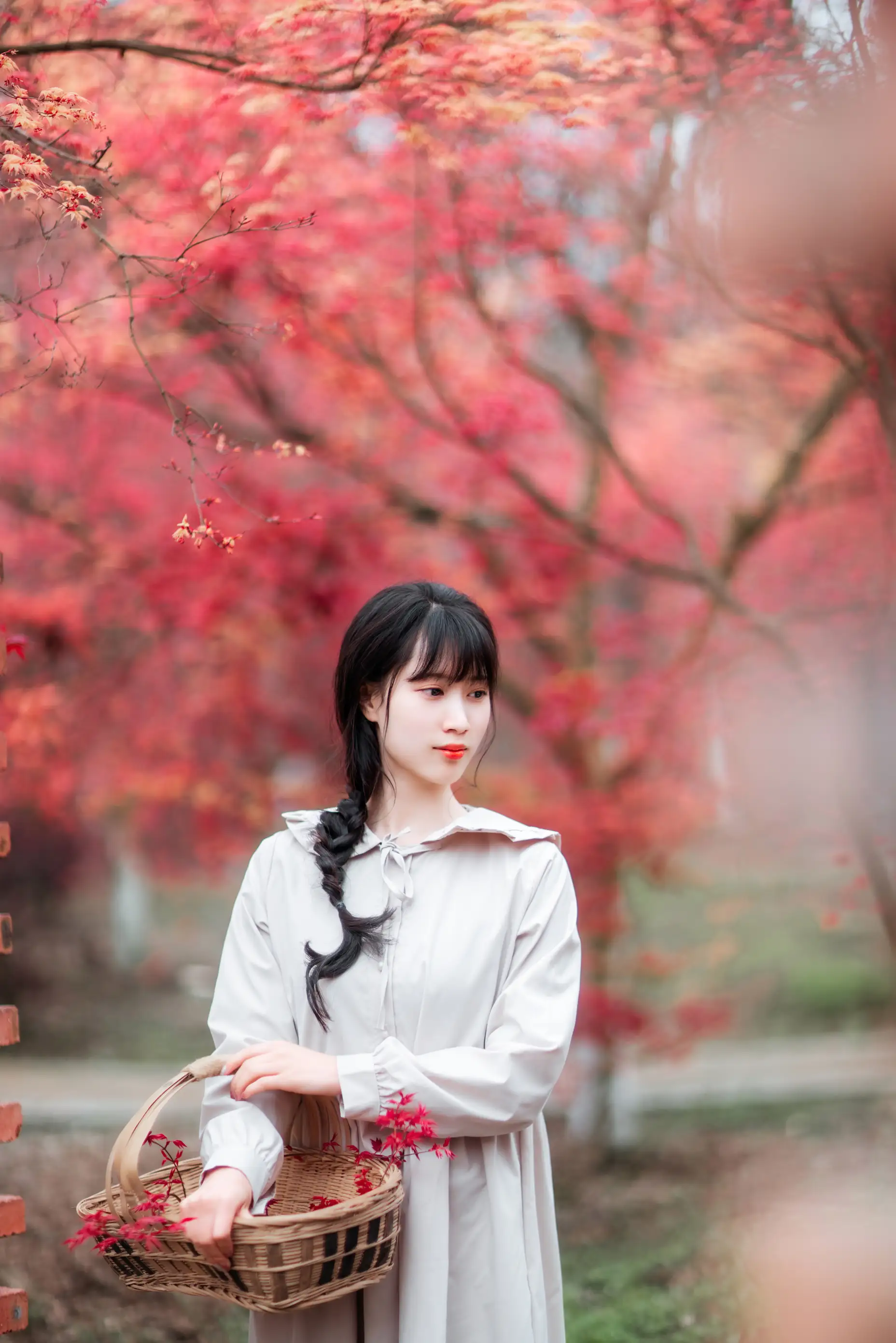 [艺图语] 2021.12.23 Vol.521 – 枫林春晓 初茶#[39P]-3