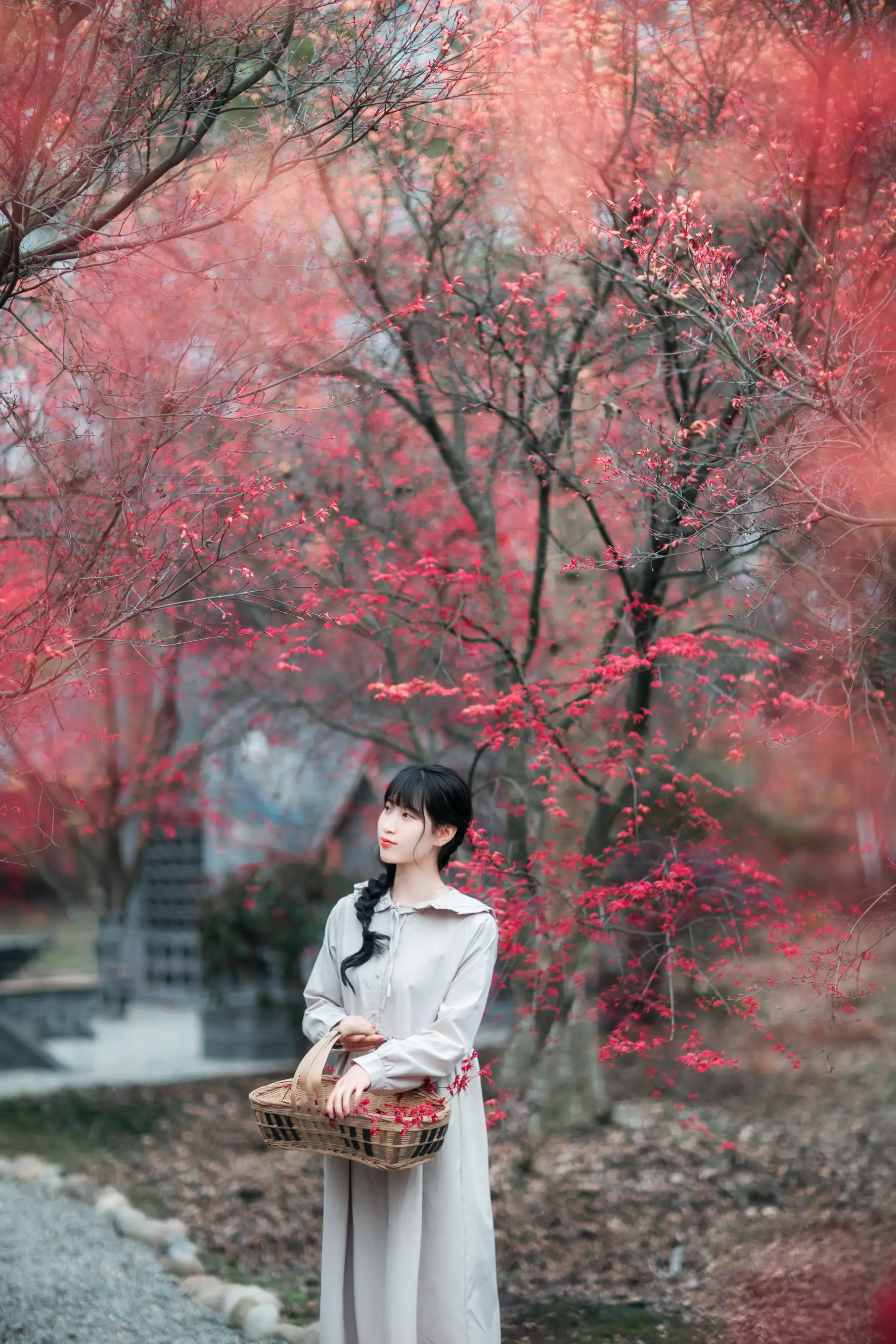 [艺图语] 2021.12.23 Vol.521 – 枫林春晓 初茶#[39P]-6