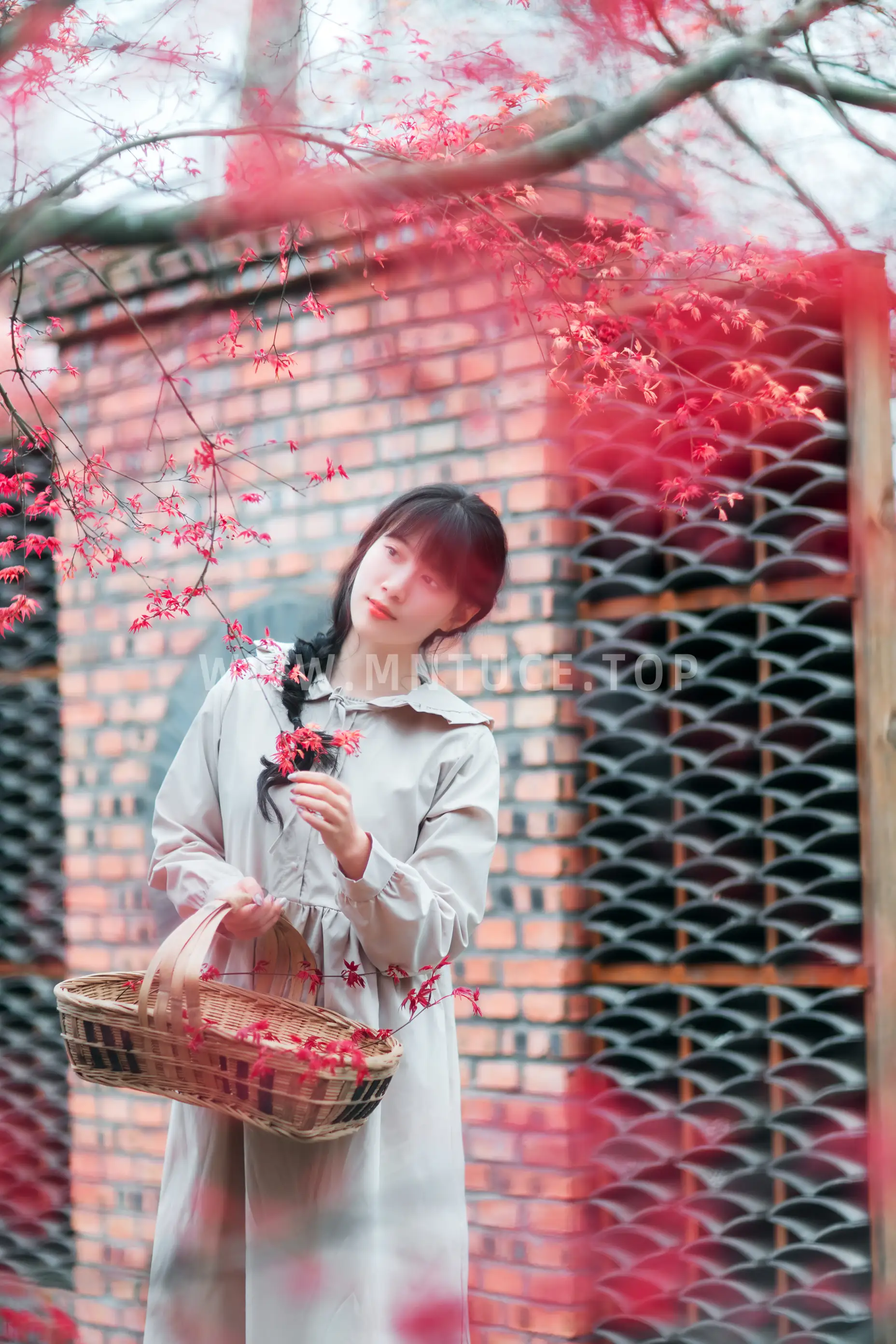 [艺图语] 2021.12.23 Vol.521 – 枫林春晓 初茶#[39P]-9