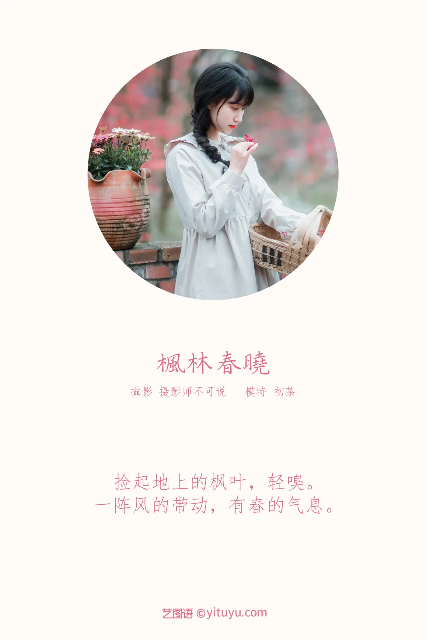 [艺图语] 2021.12.23 Vol.521 – 枫林春晓 初茶#[39P]-2