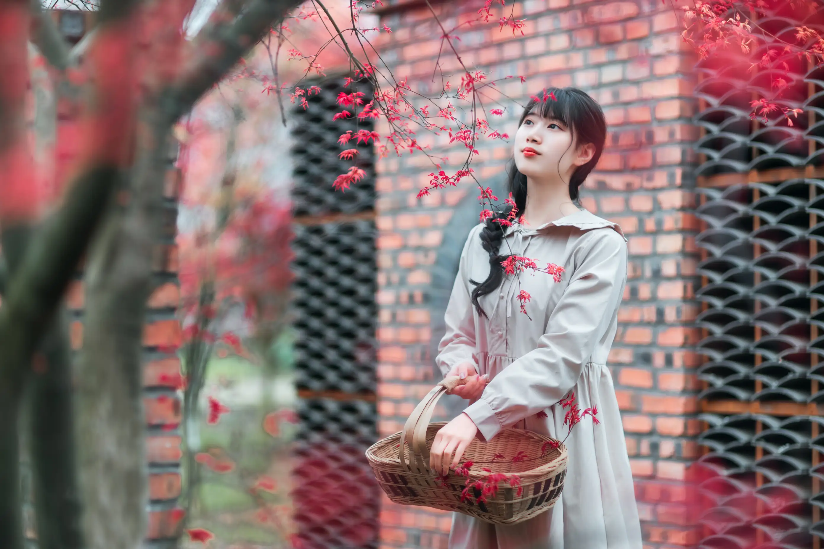 [艺图语] 2021.12.23 Vol.521 – 枫林春晓 初茶#[39P]-10