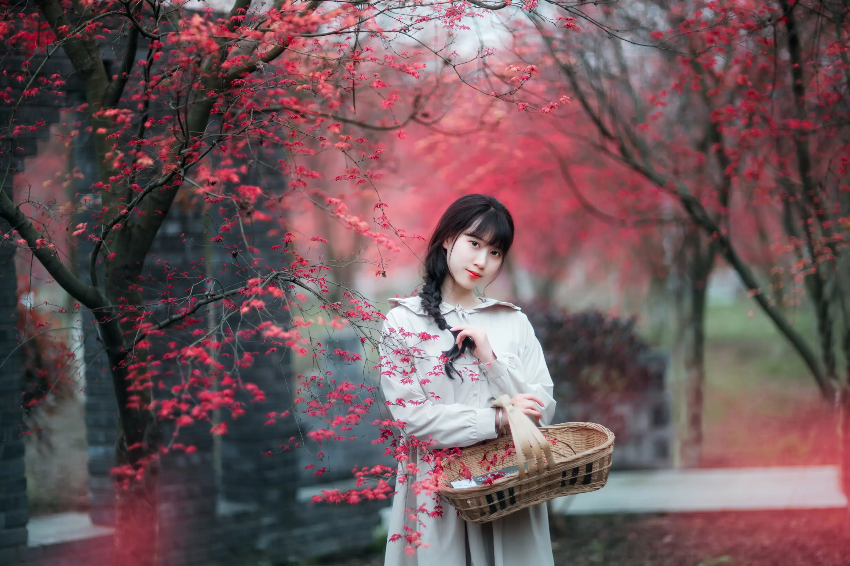 [艺图语] 2021.12.23 Vol.521 – 枫林春晓 初茶#[39P]-3