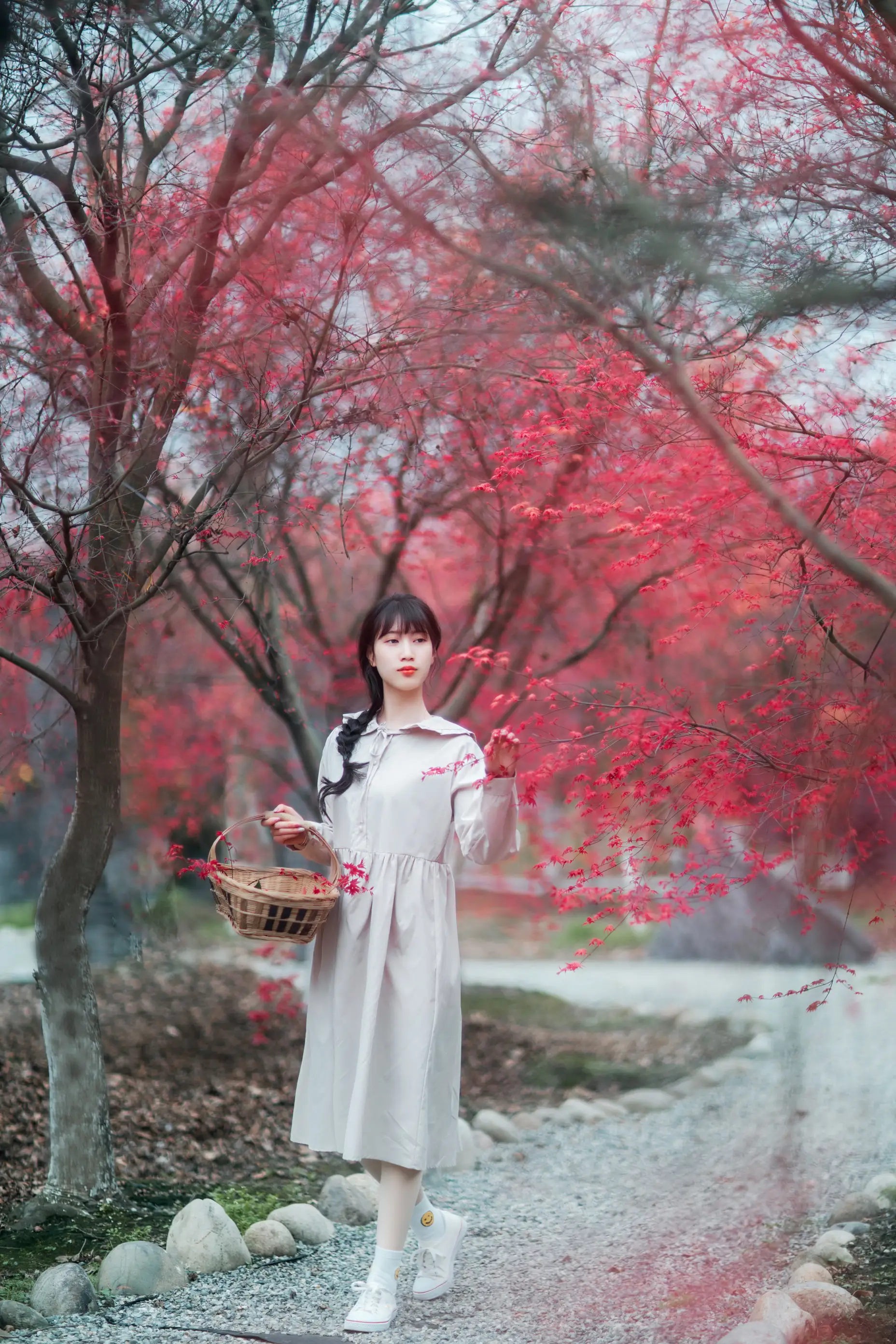 [艺图语] 2021.12.23 Vol.521 – 枫林春晓 初茶#[39P]-5