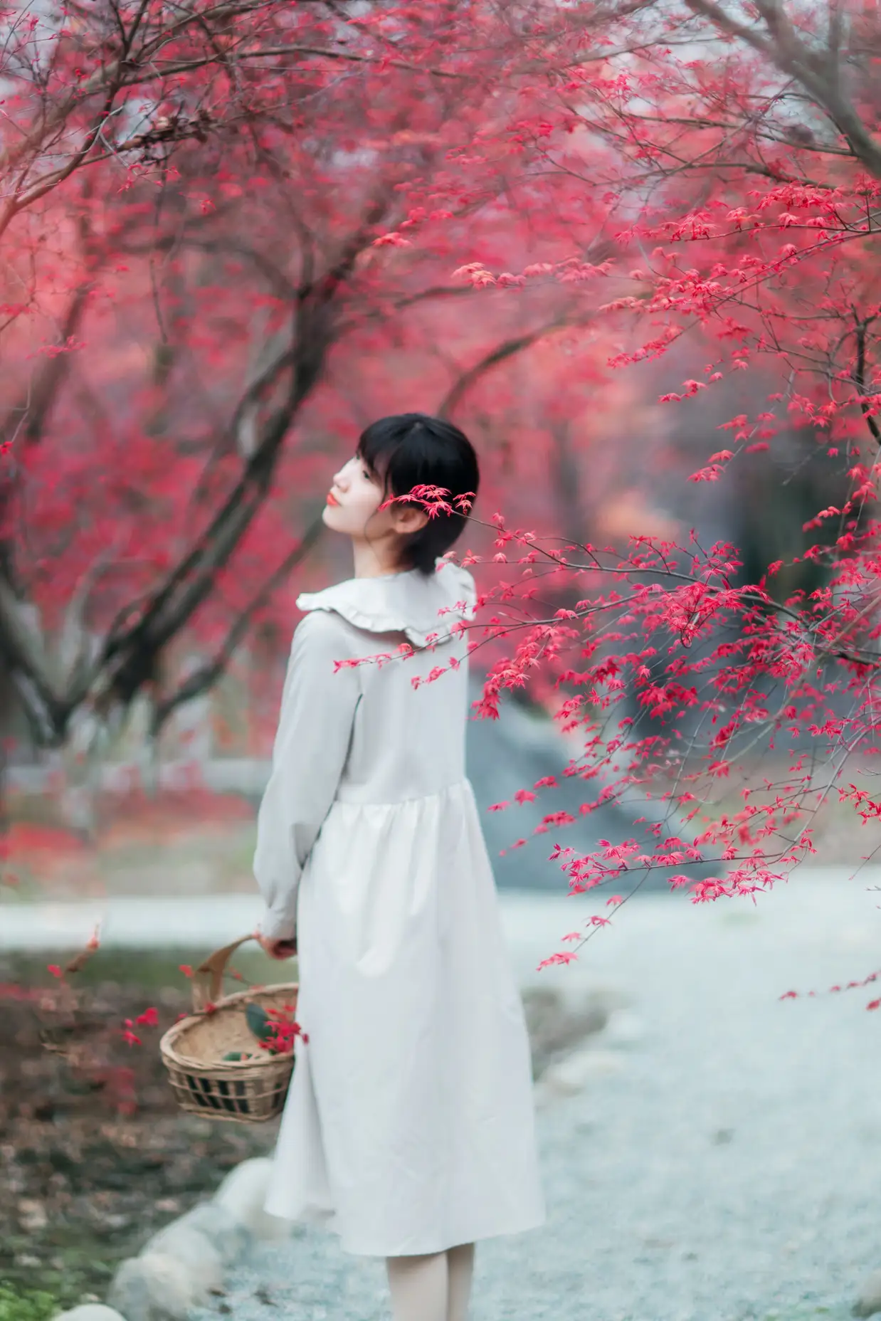 [艺图语] 2021.12.23 Vol.521 – 枫林春晓 初茶#[39P]-6