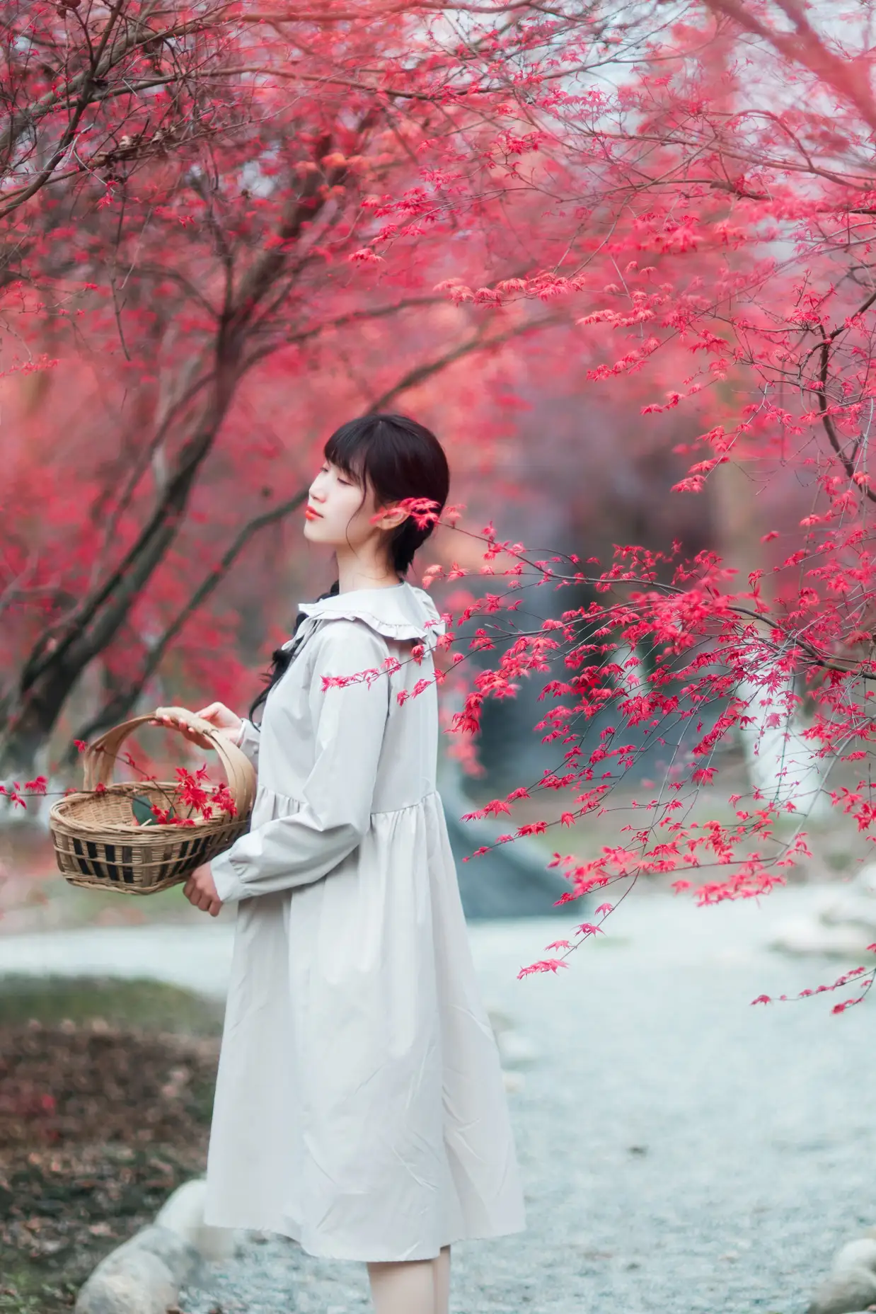 [艺图语] 2021.12.23 Vol.521 – 枫林春晓 初茶#[39P]-7
