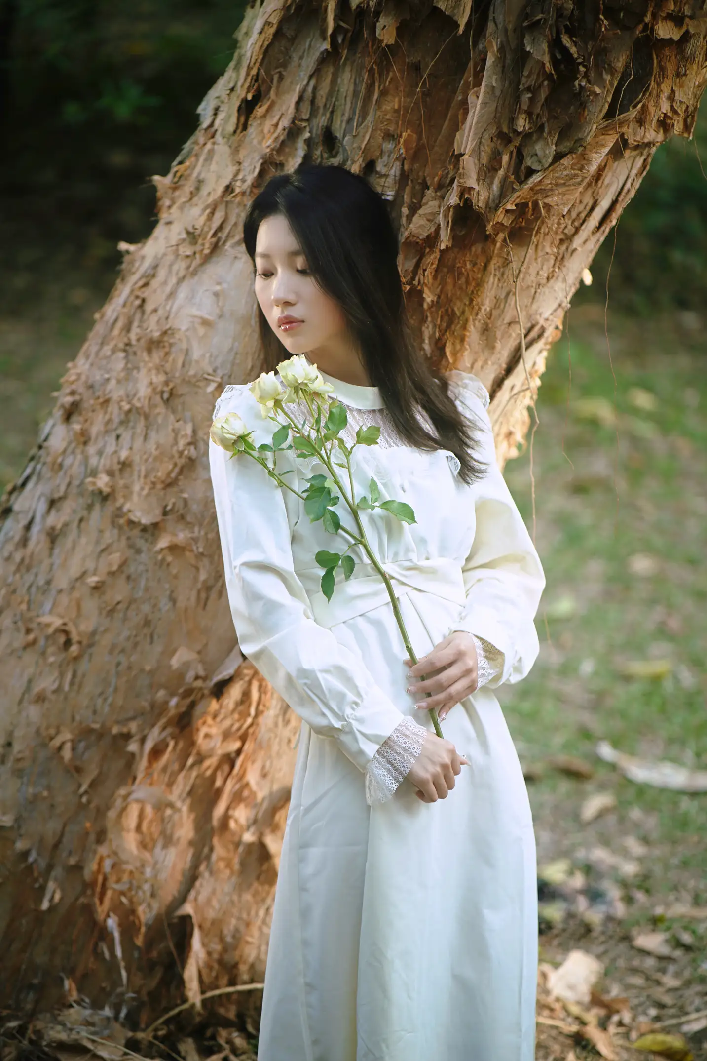 [艺图语] 2022.09.06 Vol.1884 – 森林的画框 张张#[29P]-7