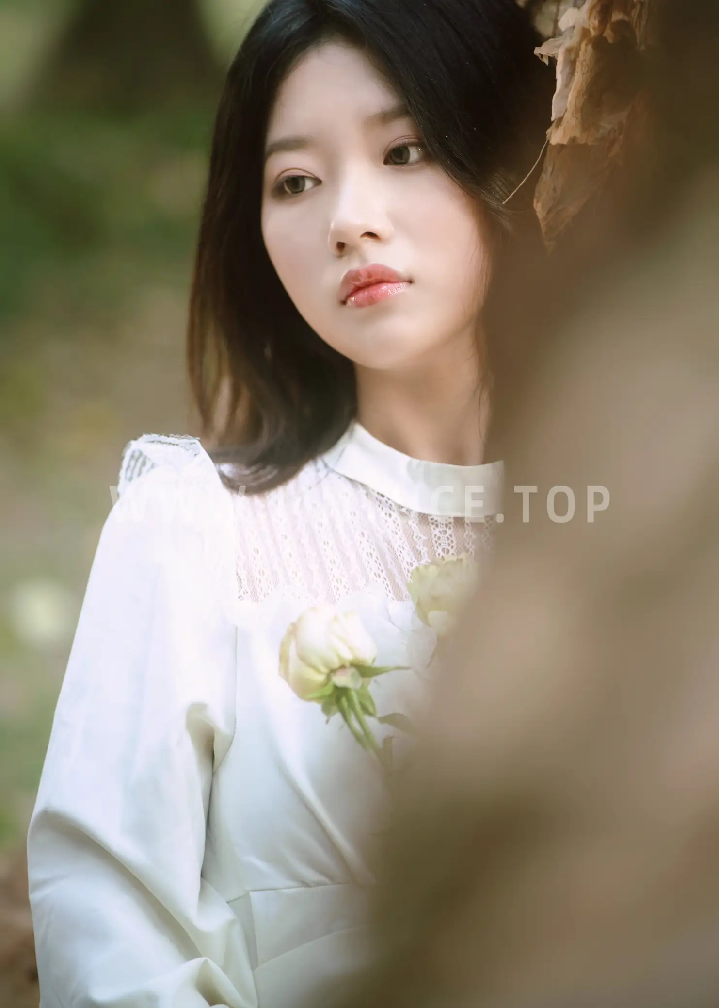 [艺图语] 2022.09.06 Vol.1884 – 森林的画框 张张#[29P]-8