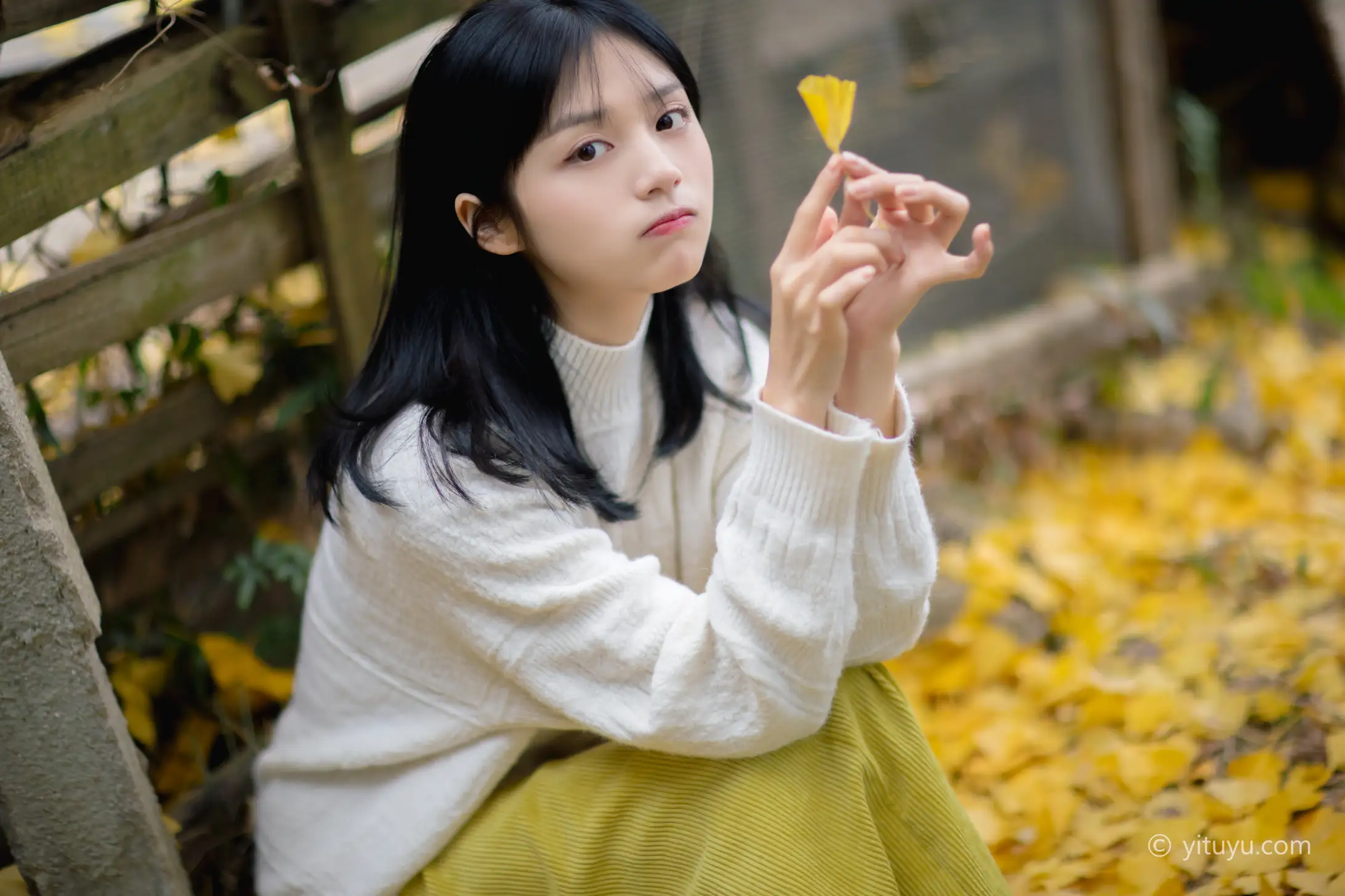 [艺图语] 2021.08.14 Vol.131 – 银杏之恋 雨文#[39P]-9