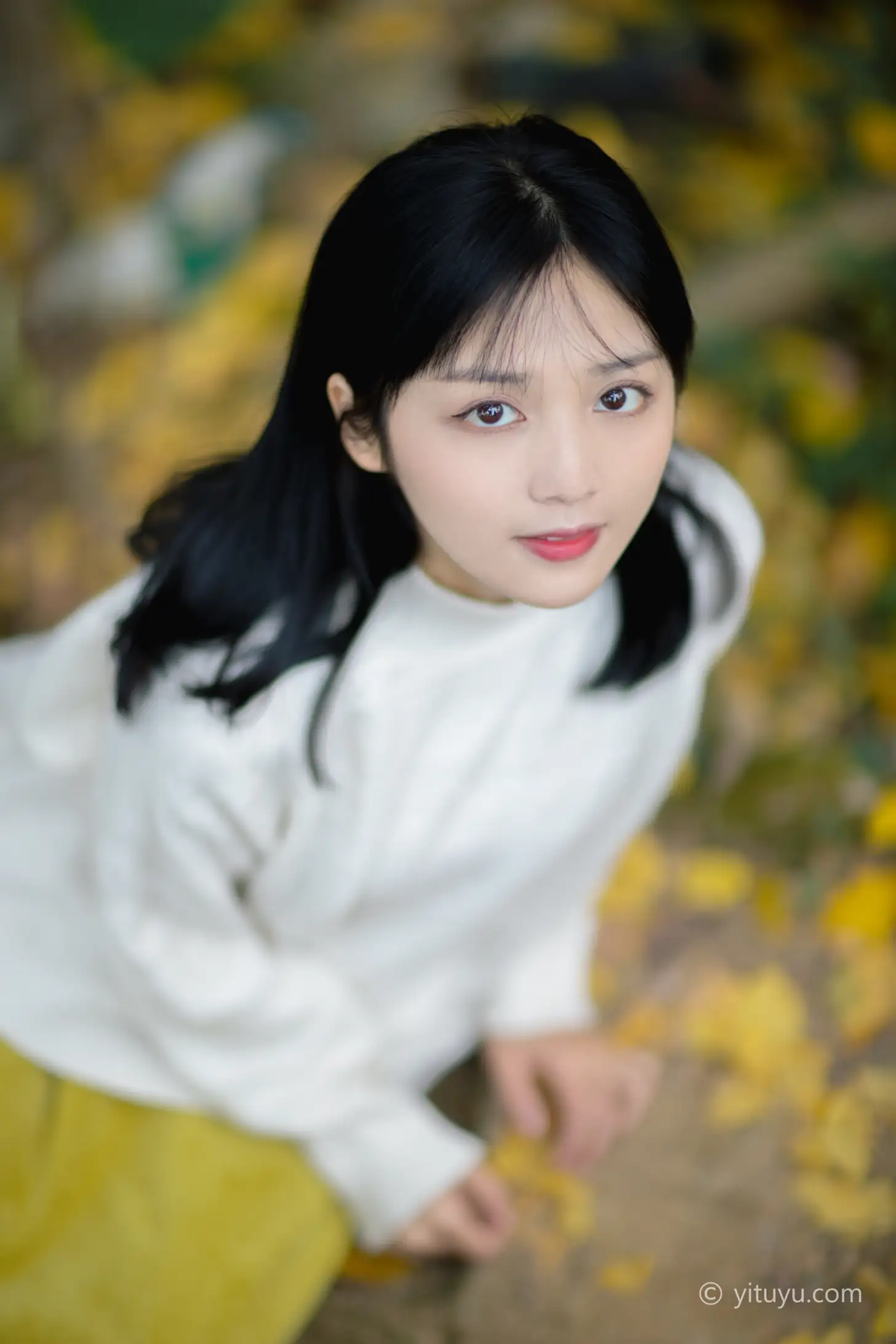 [艺图语] 2021.08.14 Vol.131 – 银杏之恋 雨文#[39P]-1