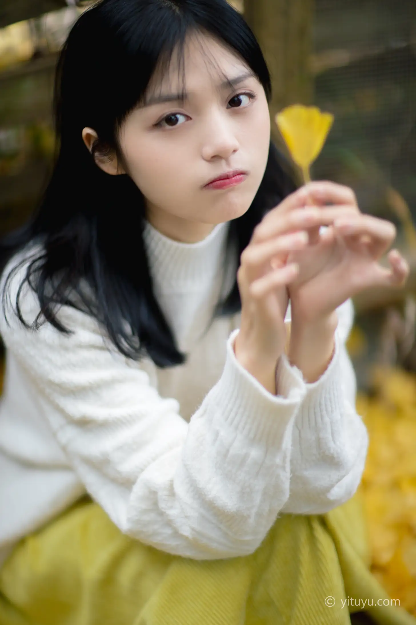 [艺图语] 2021.08.14 Vol.131 – 银杏之恋 雨文#[39P]-3