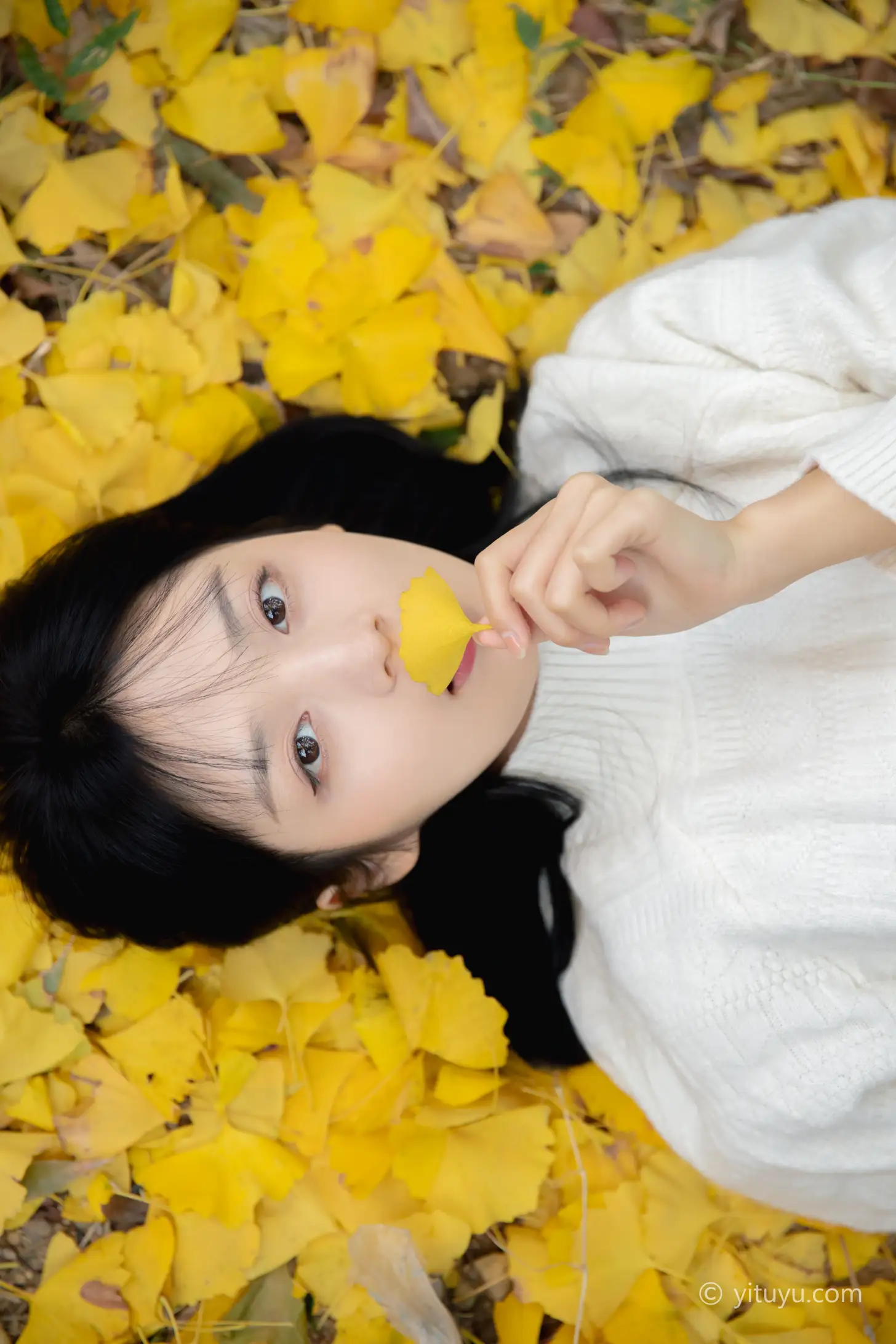 [艺图语] 2021.08.14 Vol.131 – 银杏之恋 雨文#[39P]-7