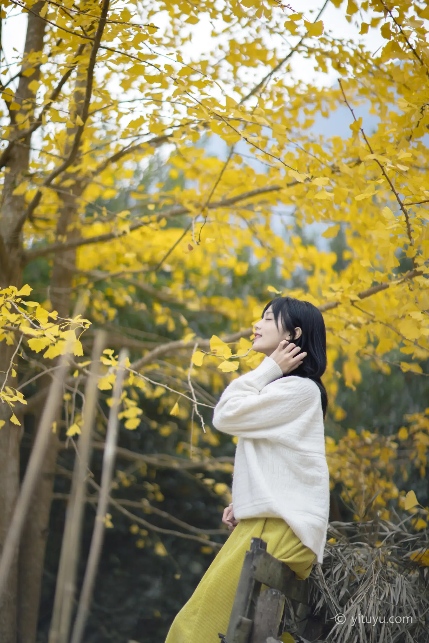 [艺图语] 2021.08.14 Vol.131 – 银杏之恋 雨文#[39P]-2