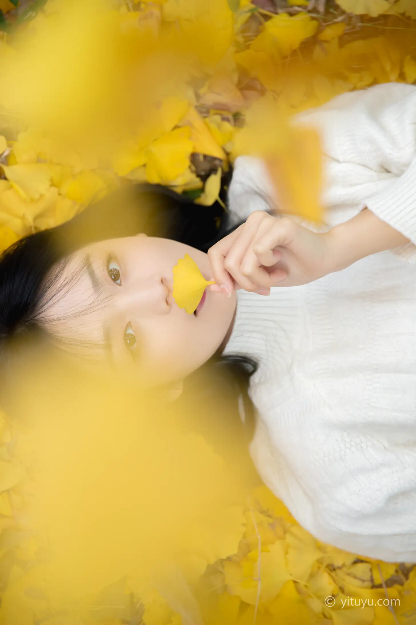 [艺图语] 2021.08.14 Vol.131 – 银杏之恋 雨文#[39P]-3