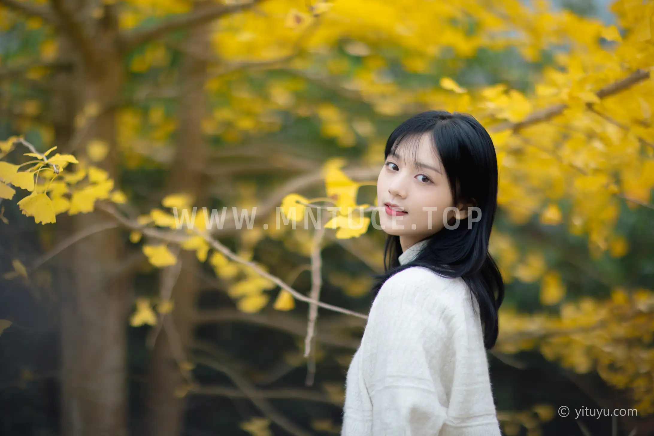 [艺图语] 2021.08.14 Vol.131 – 银杏之恋 雨文#[39P]-6