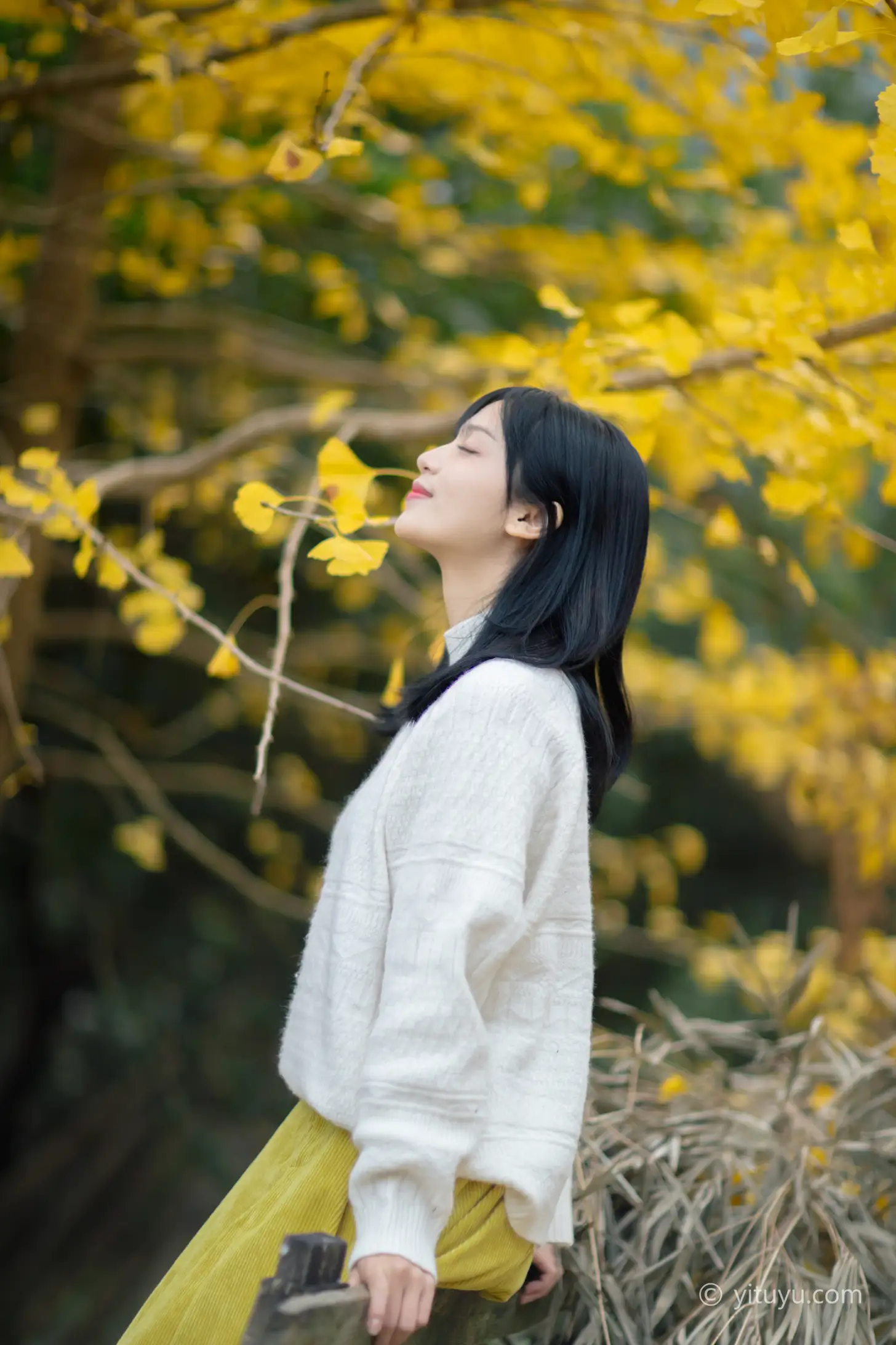 [艺图语] 2021.08.14 Vol.131 – 银杏之恋 雨文#[39P]-9
