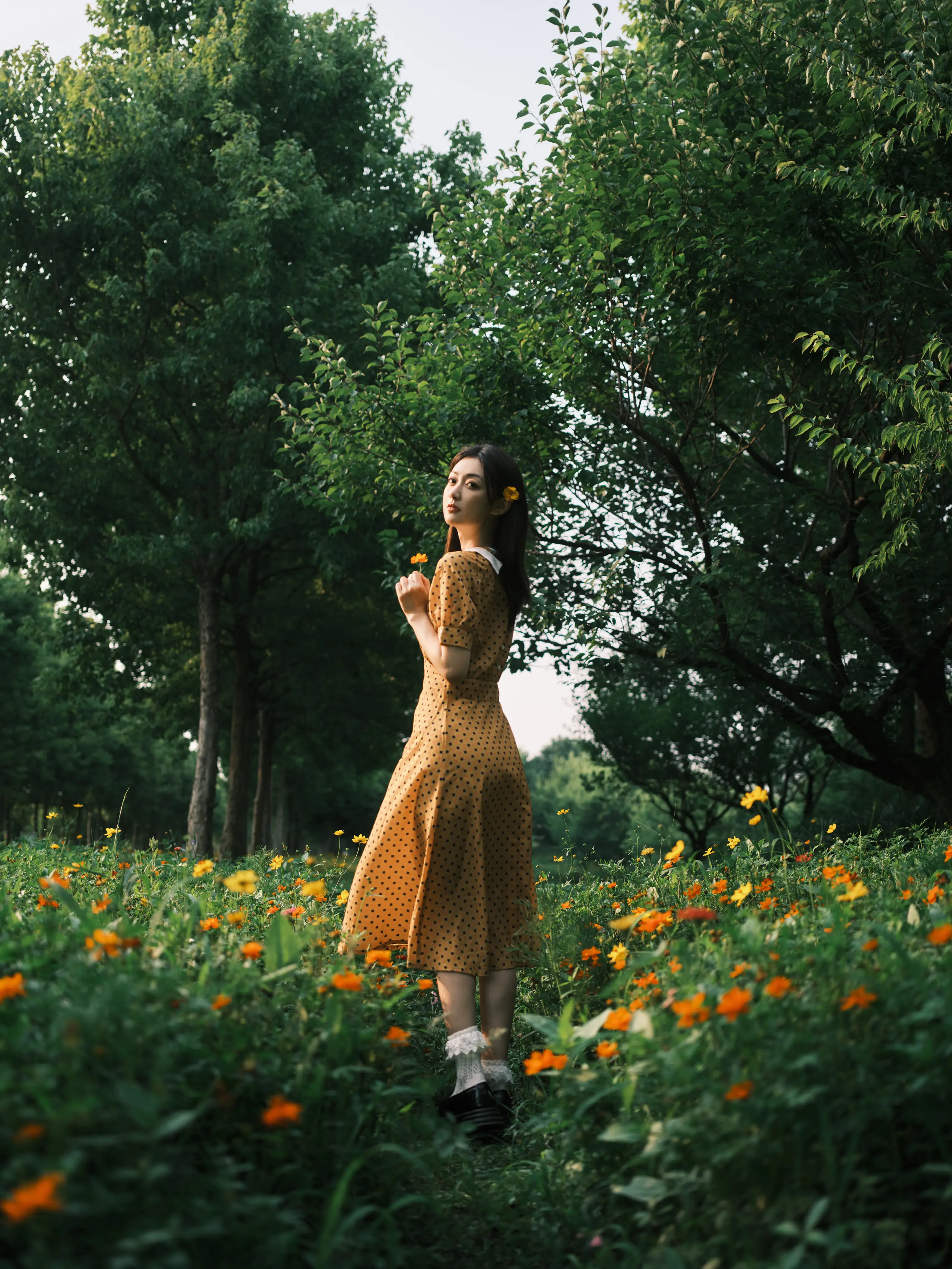 [艺图语] 2022.08.08 Vol.1654 – 硫华菊&柳叶马鞭草-是夏天的味道呀！ 飞鸟咕咕-#[44P]-2