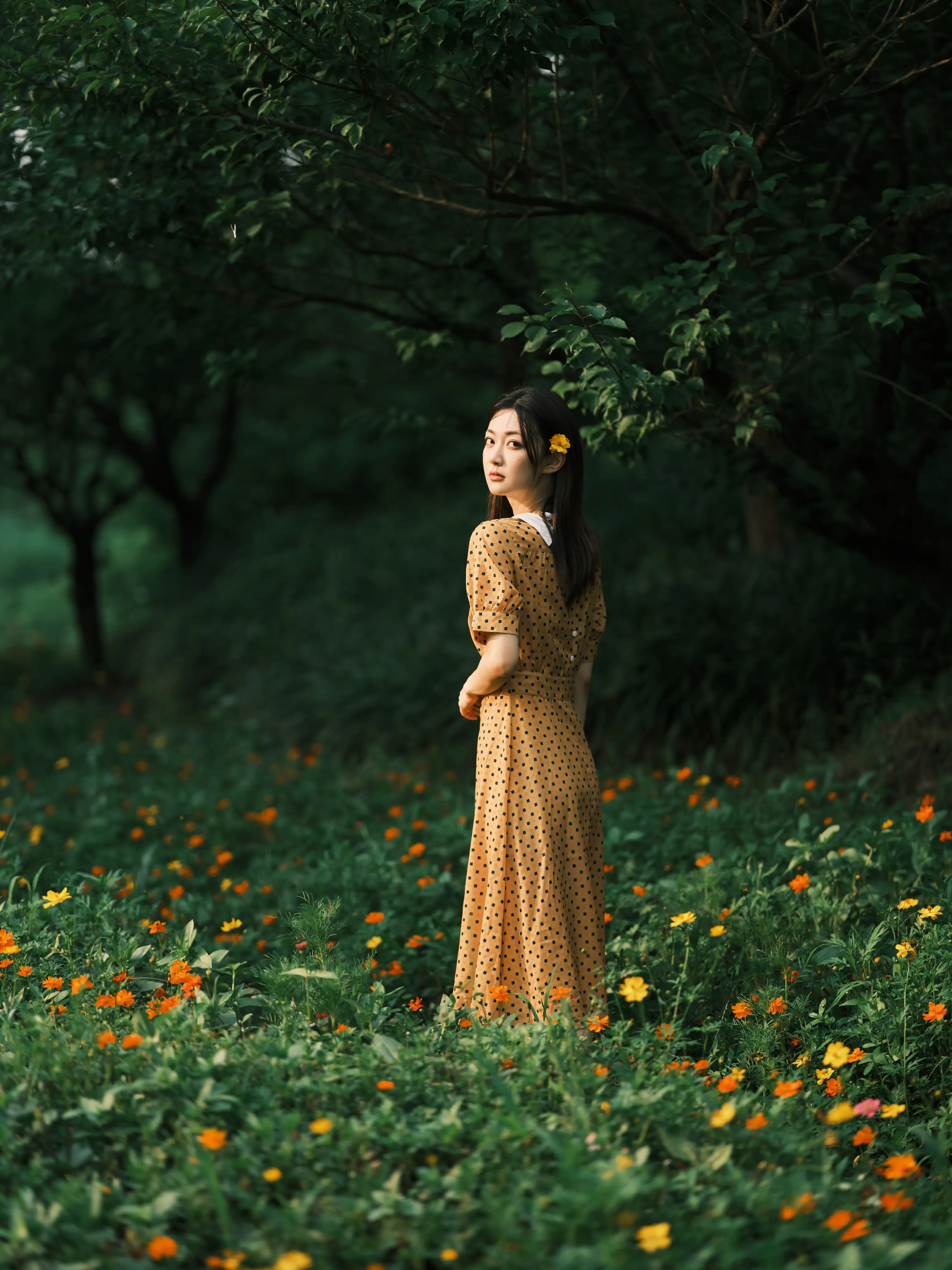 [艺图语] 2022.08.08 Vol.1654 – 硫华菊&柳叶马鞭草-是夏天的味道呀！ 飞鸟咕咕-#[44P]-7