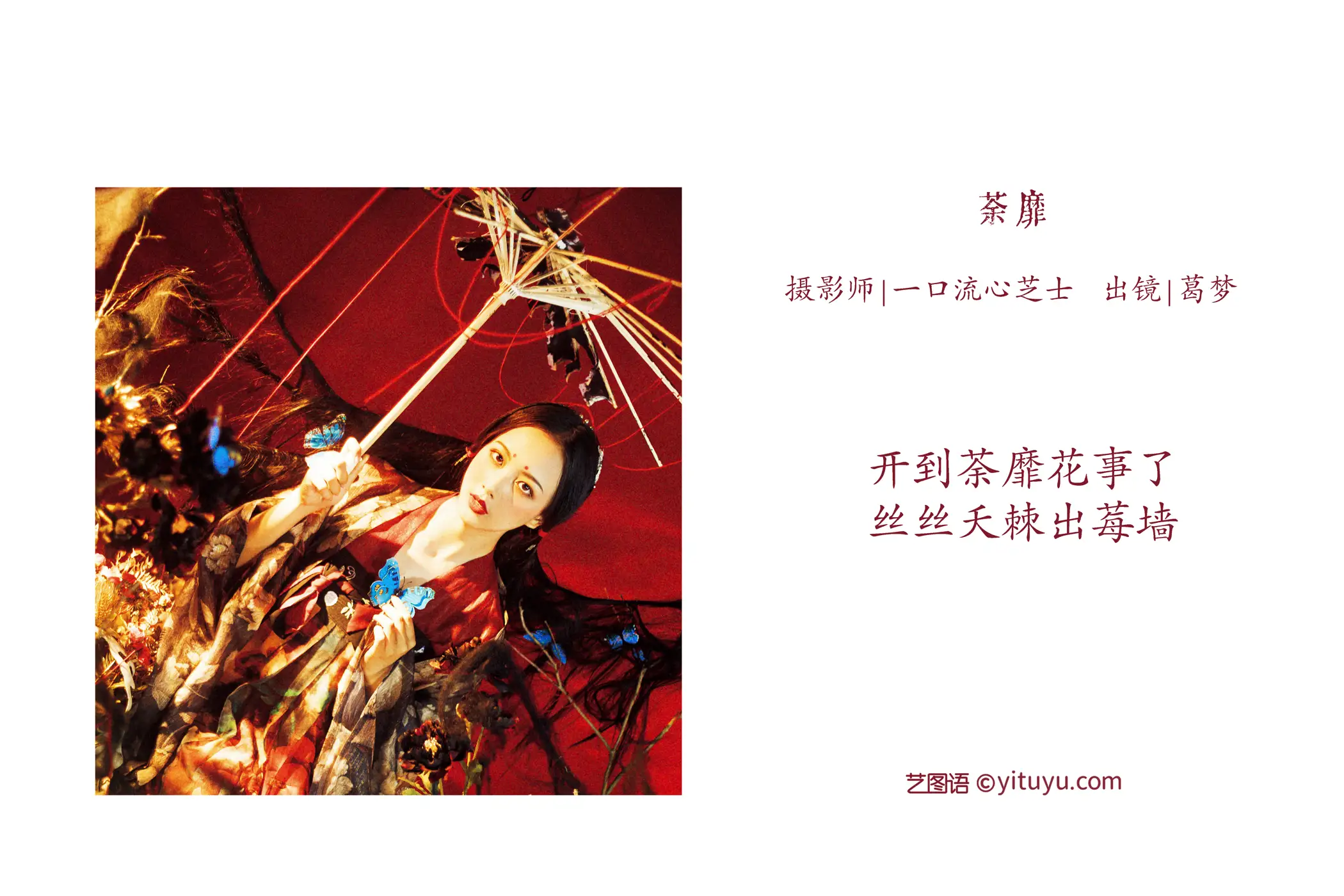 [艺图语] 2022.07.29 Vol.1573 – 荼靡 葛梦#[33P]-2