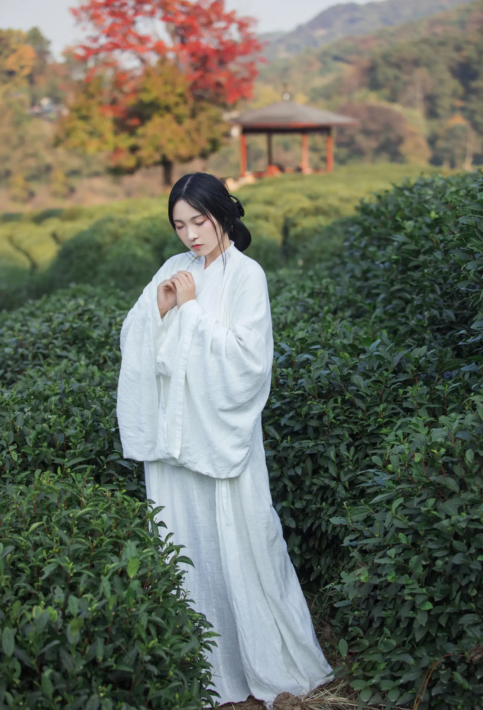 [艺图语] 2021.11.25 Vol.472 – 若初 一个白鹿#[20P]-6