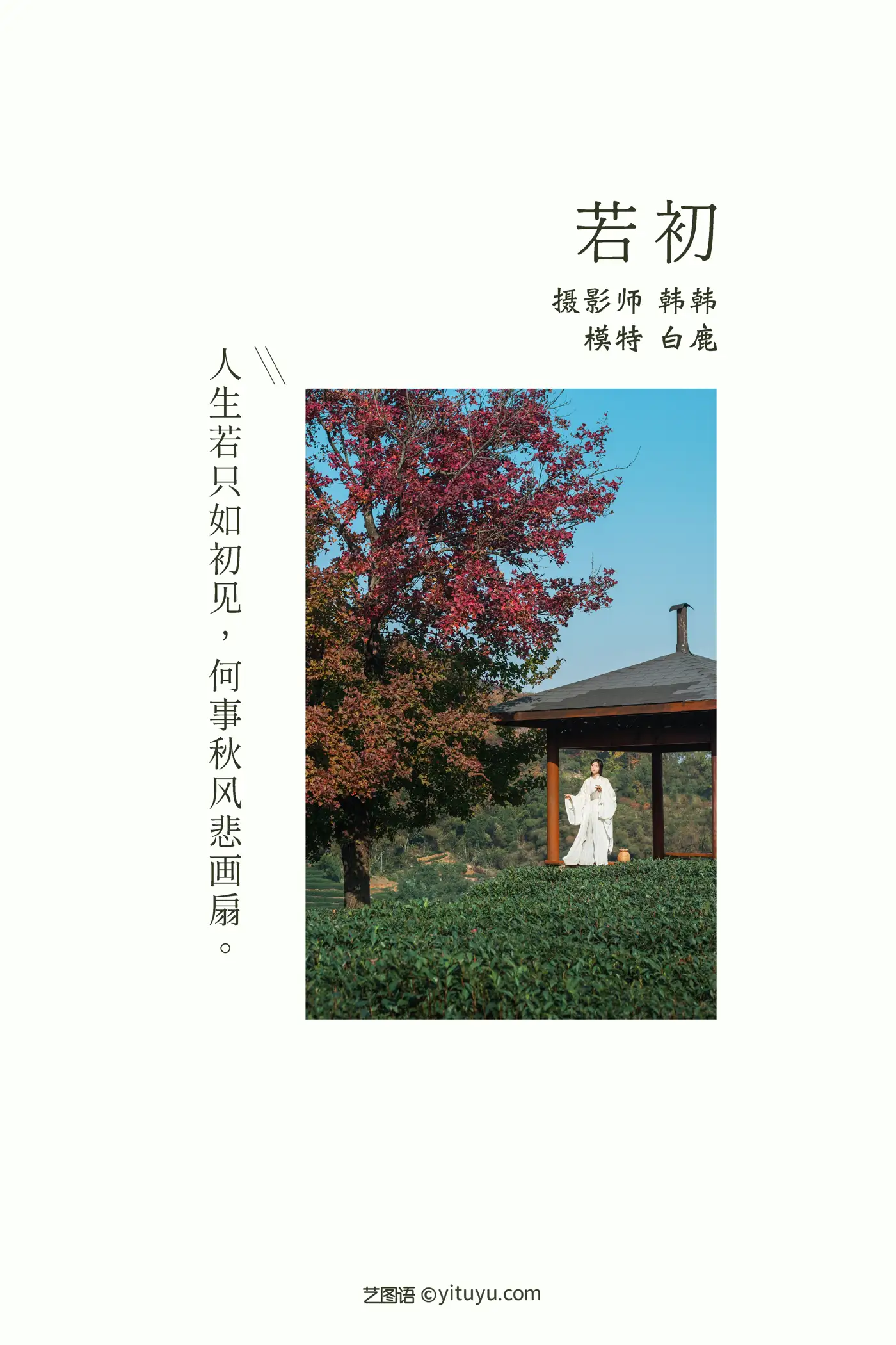 [艺图语] 2021.11.25 Vol.472 – 若初 一个白鹿#[20P]-2