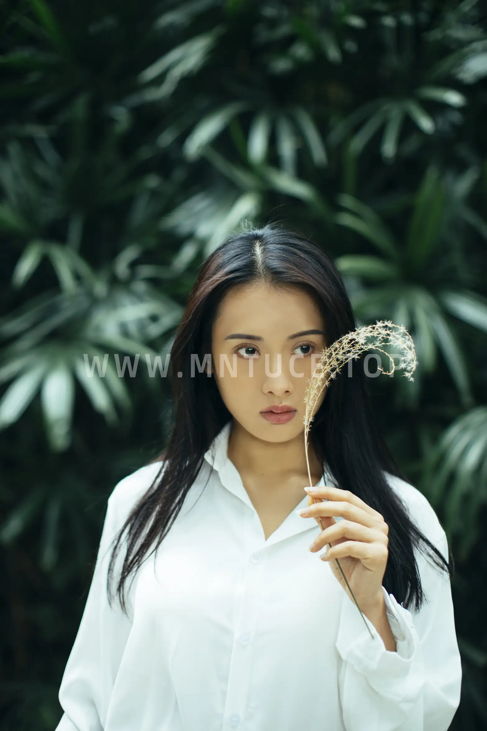 [艺图语] 2021.12.24 Vol.526 – 美好的旧时光 琴琴#[30P]-9