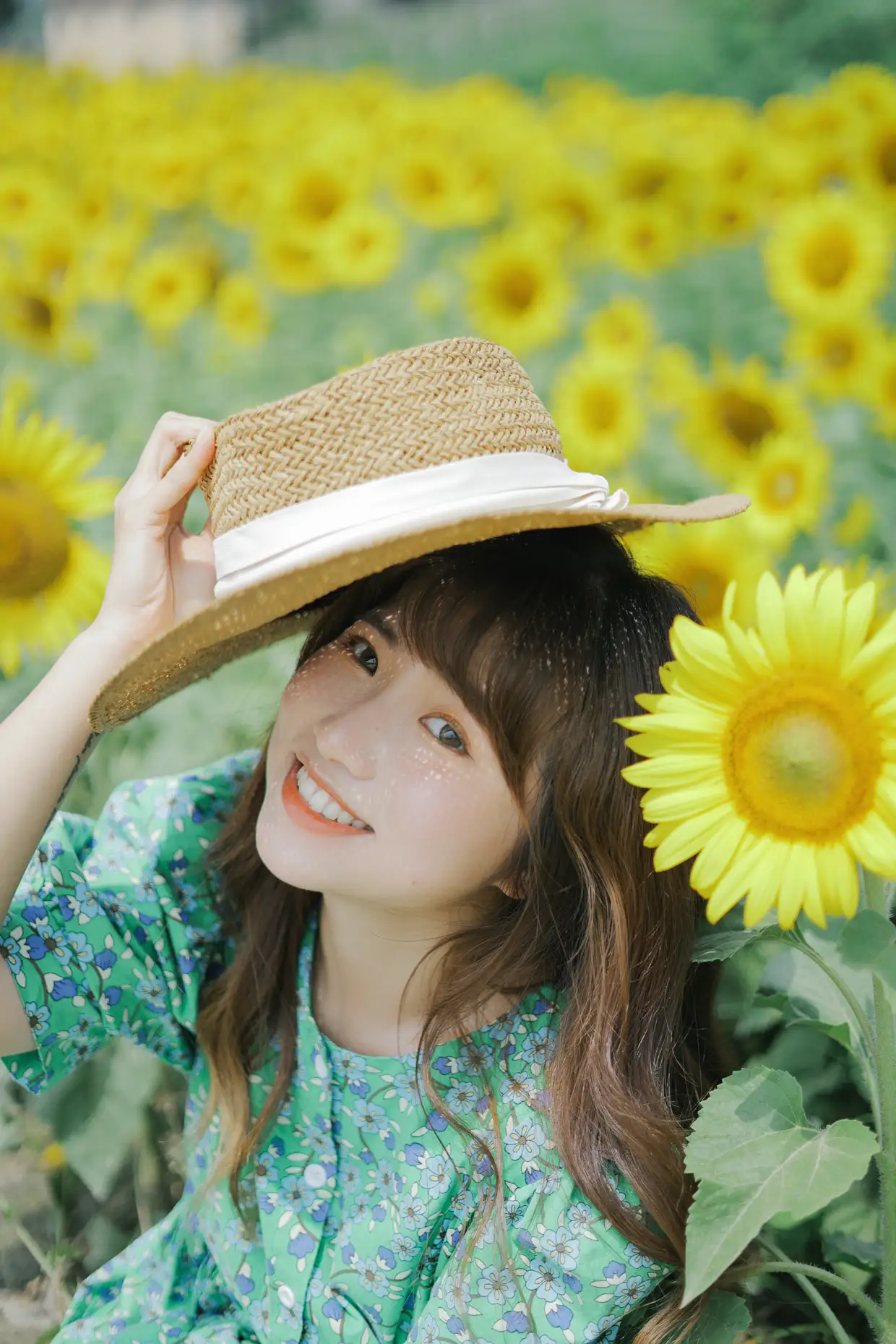 [艺图语] 2022.07.12 Vol.1458 – 向日葵的夏日 蓝胖子-#[33P]-4