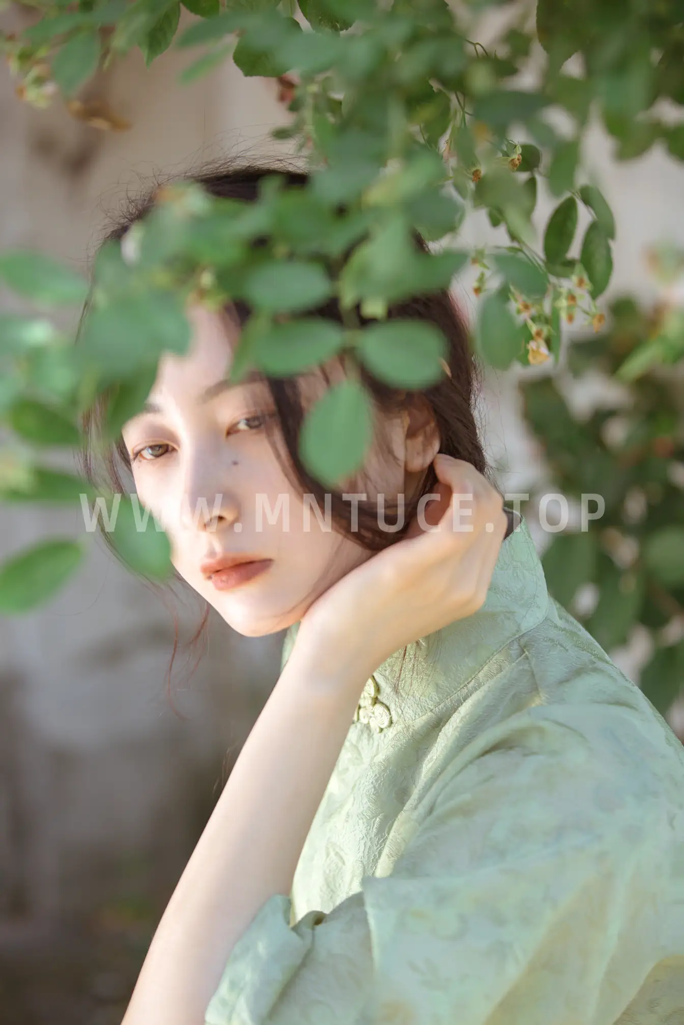 [艺图语] 2022.06.27 Vol.1309 – 总有人间一两风 五月的三花猫#[24P]-9