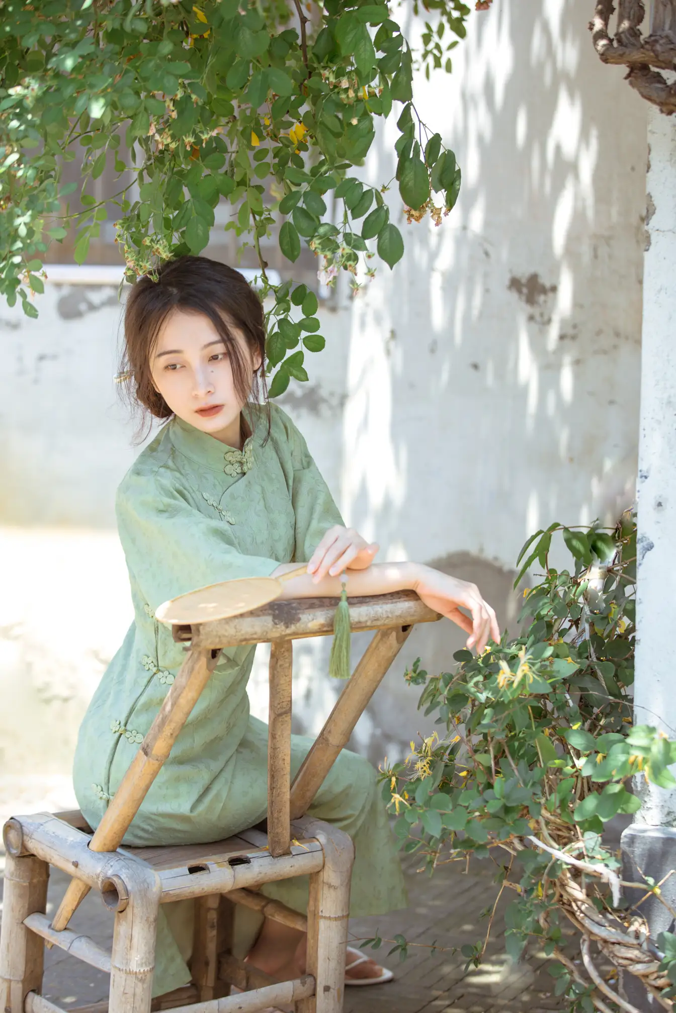 [艺图语] 2022.06.27 Vol.1309 – 总有人间一两风 五月的三花猫#[24P]-4
