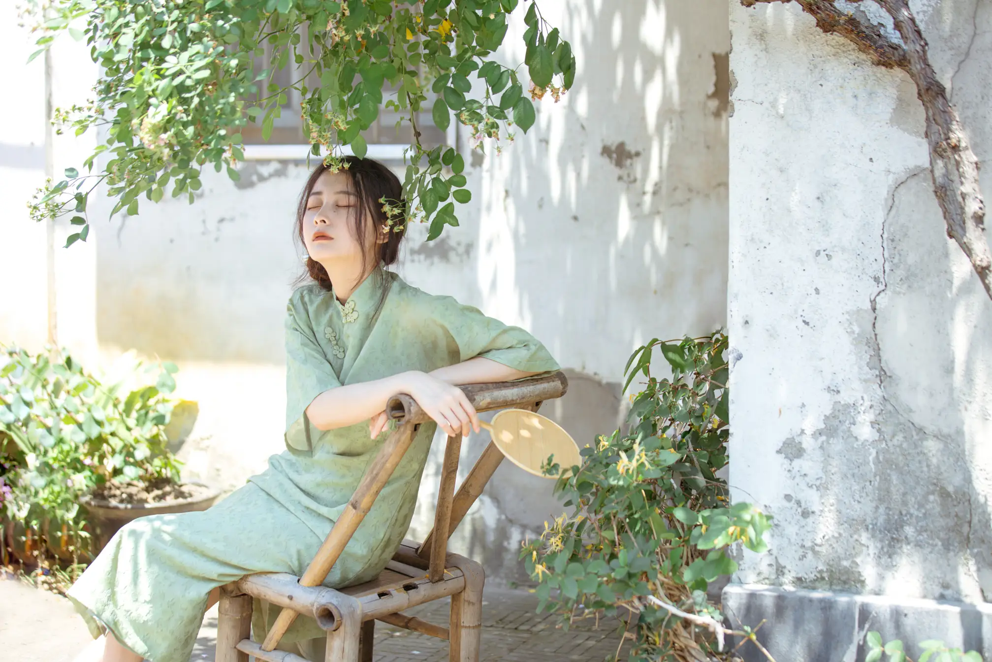 [艺图语] 2022.06.27 Vol.1309 – 总有人间一两风 五月的三花猫#[24P]-4