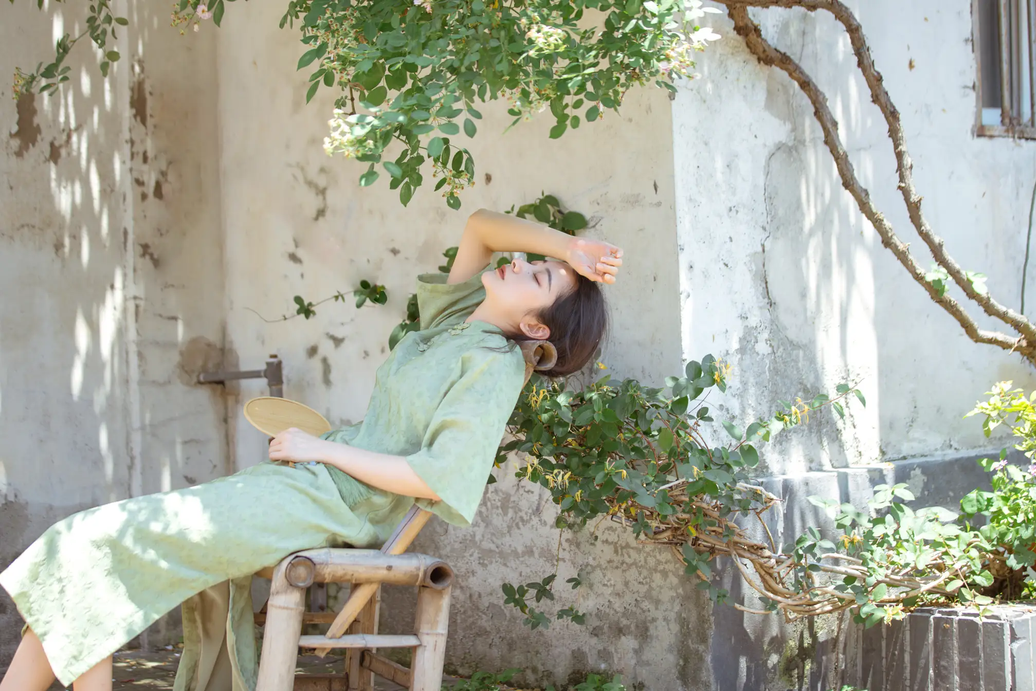 [艺图语] 2022.06.27 Vol.1309 – 总有人间一两风 五月的三花猫#[24P]-6