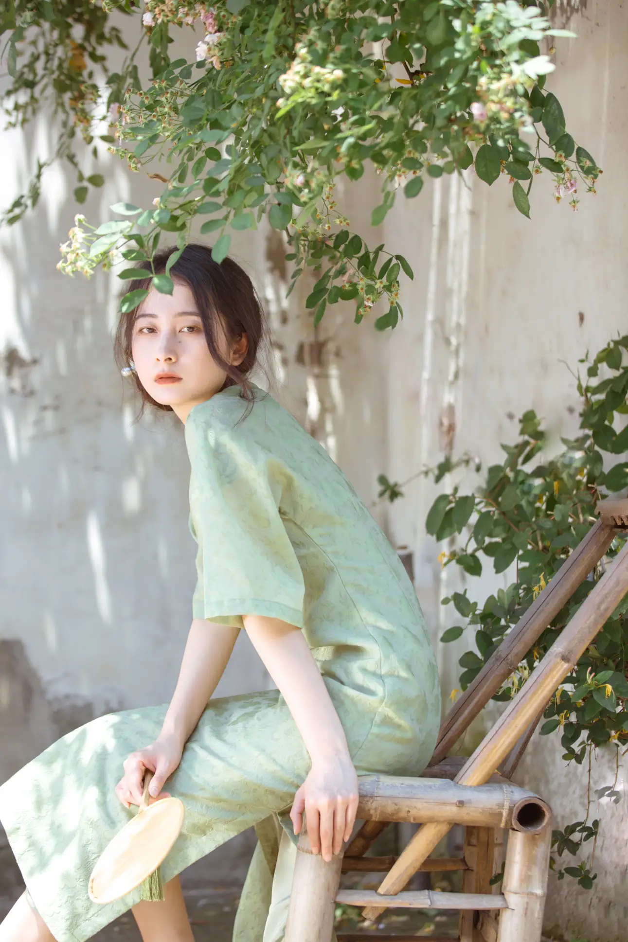 [艺图语] 2022.06.27 Vol.1309 – 总有人间一两风 五月的三花猫#[24P]-8