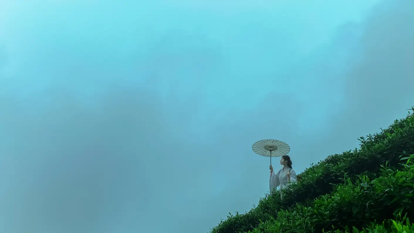 [艺图语] 2021.12.24 Vol.525 – 空山灵雨 初茶#[27P]-10